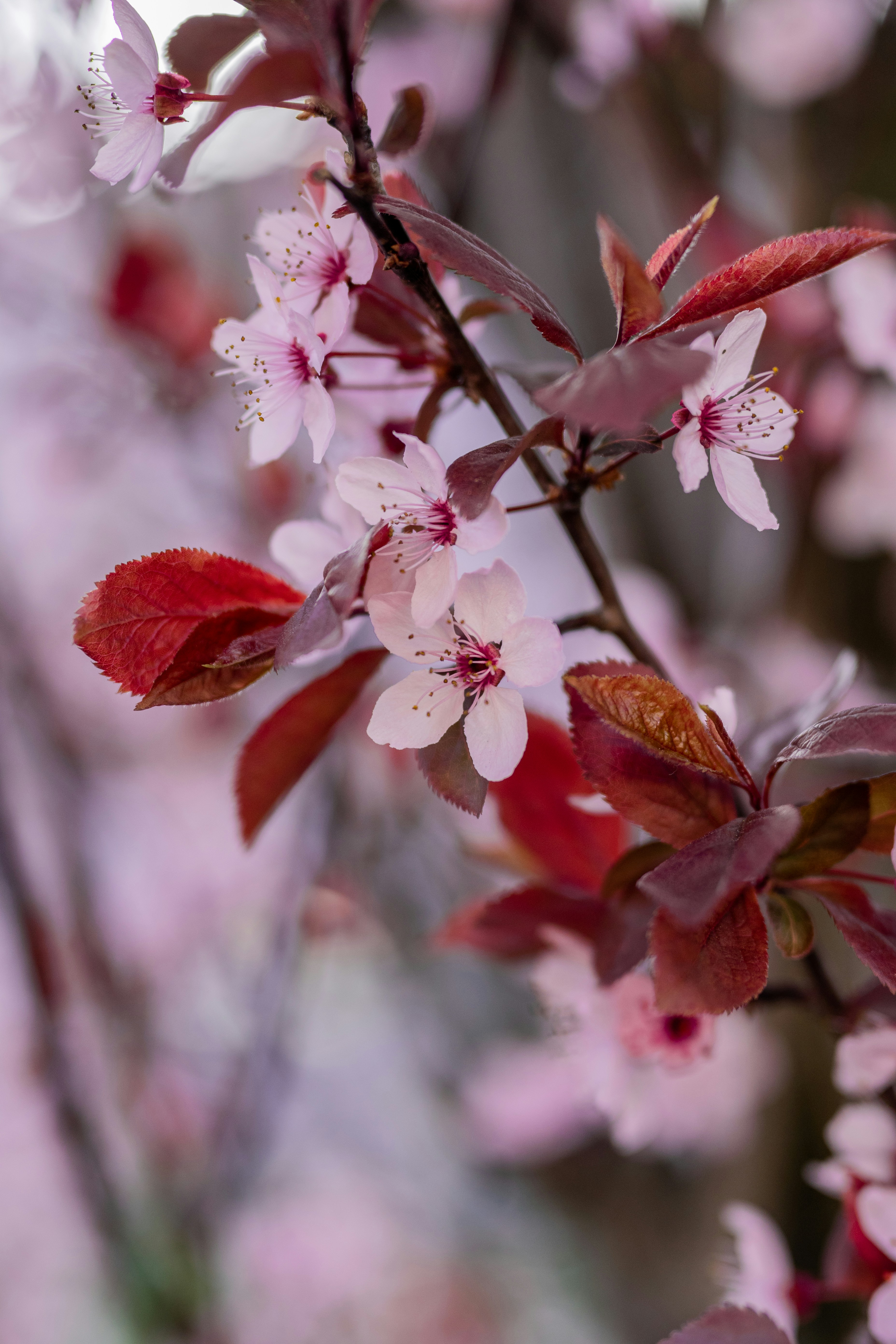 Photo by melanieweidmann_photography