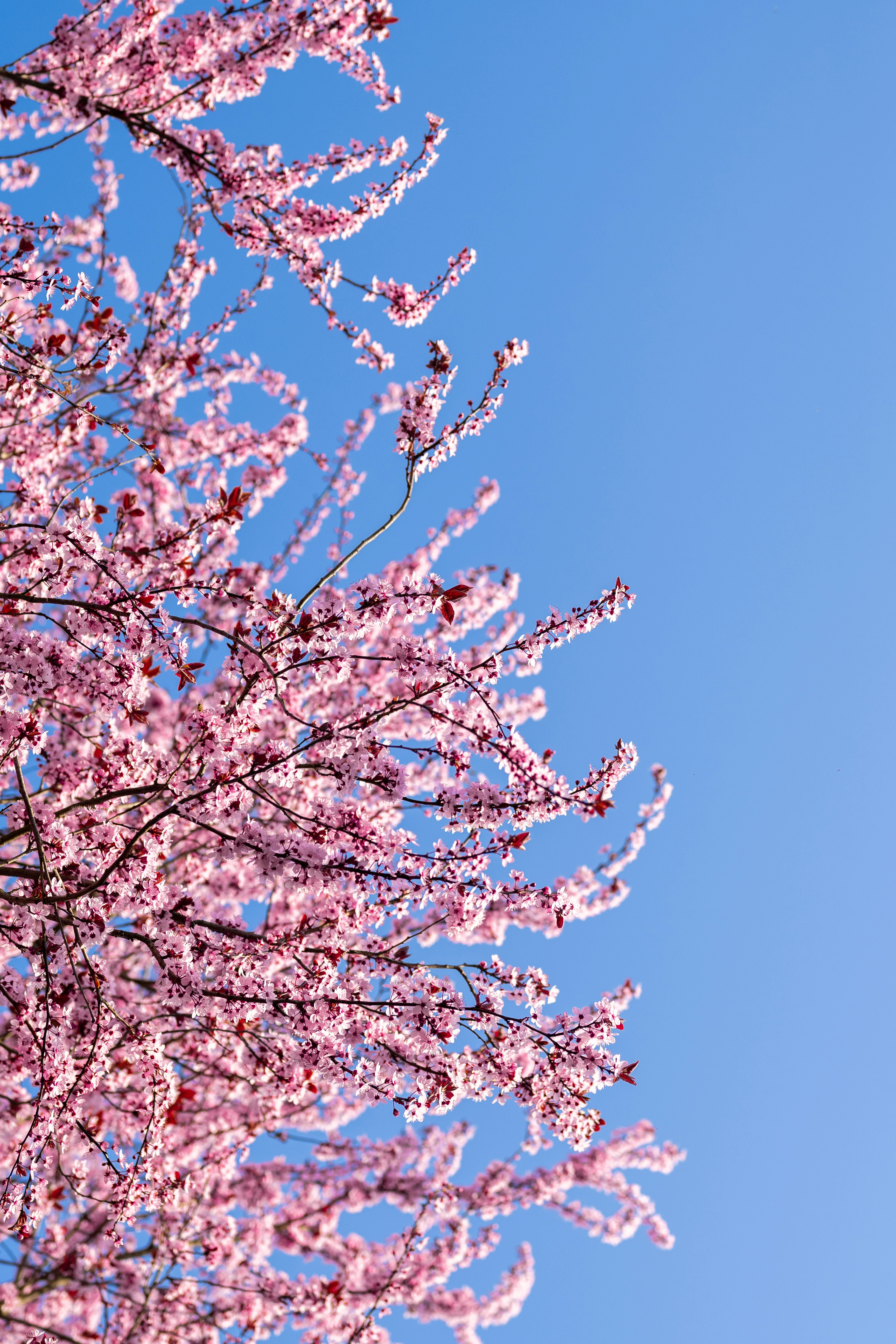 Photo by melanieweidmann_photography