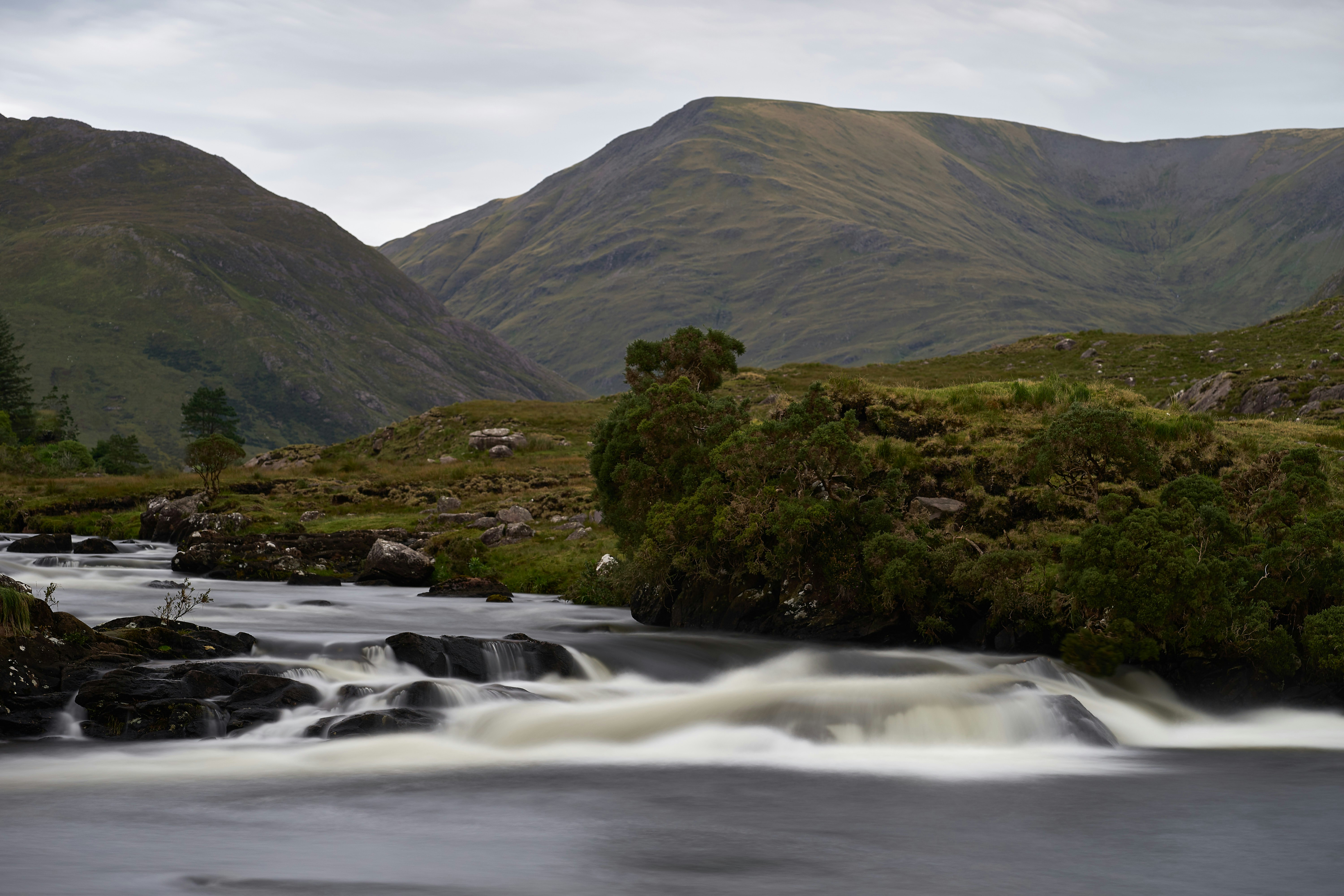 Photo by wolfgang_hasselmann