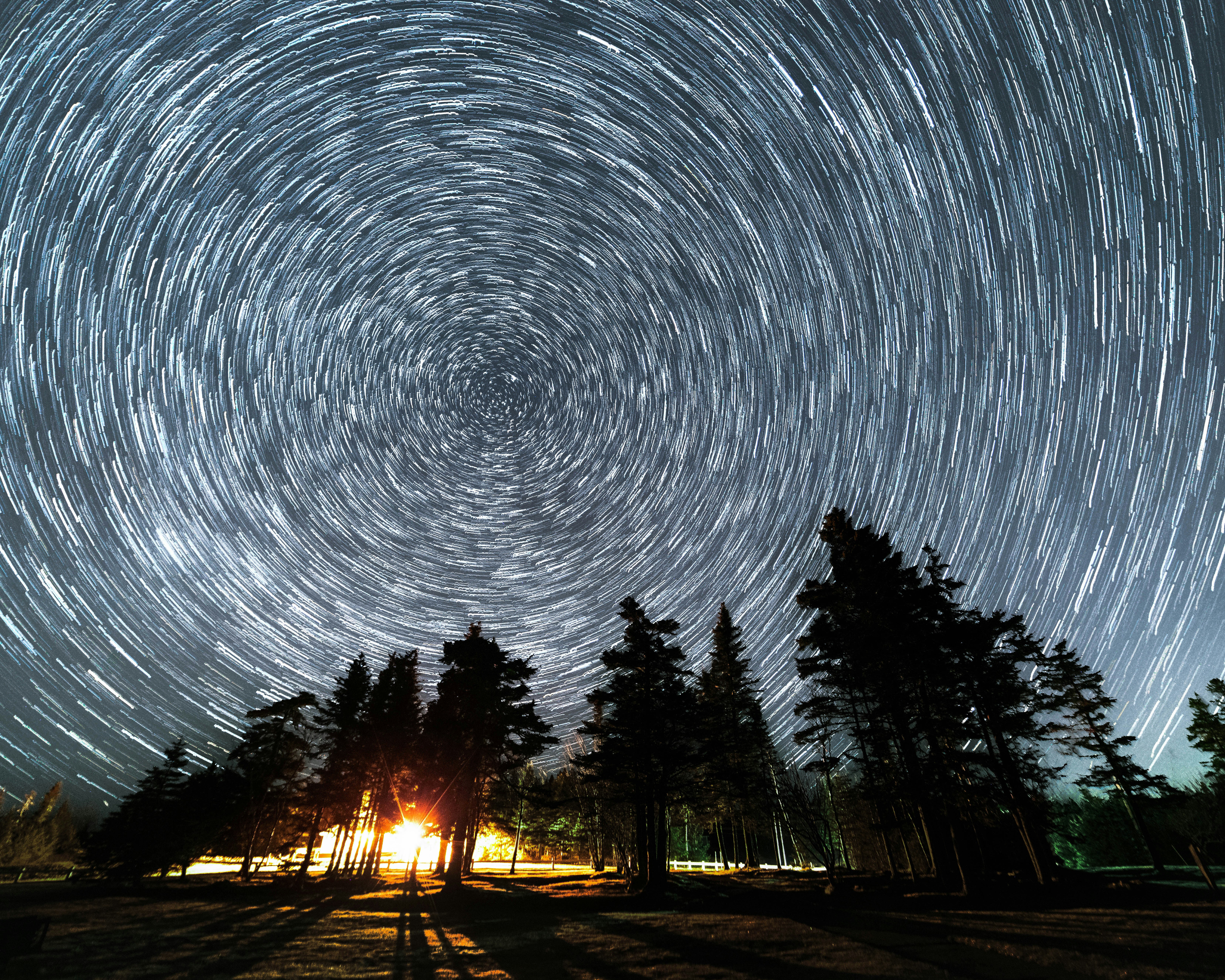 하늘에 별이 있는 불과 나무