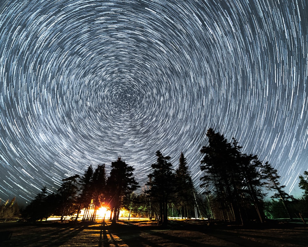 a fire and trees with stars in the sky