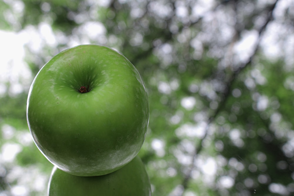 Une pomme verte sur un arbre