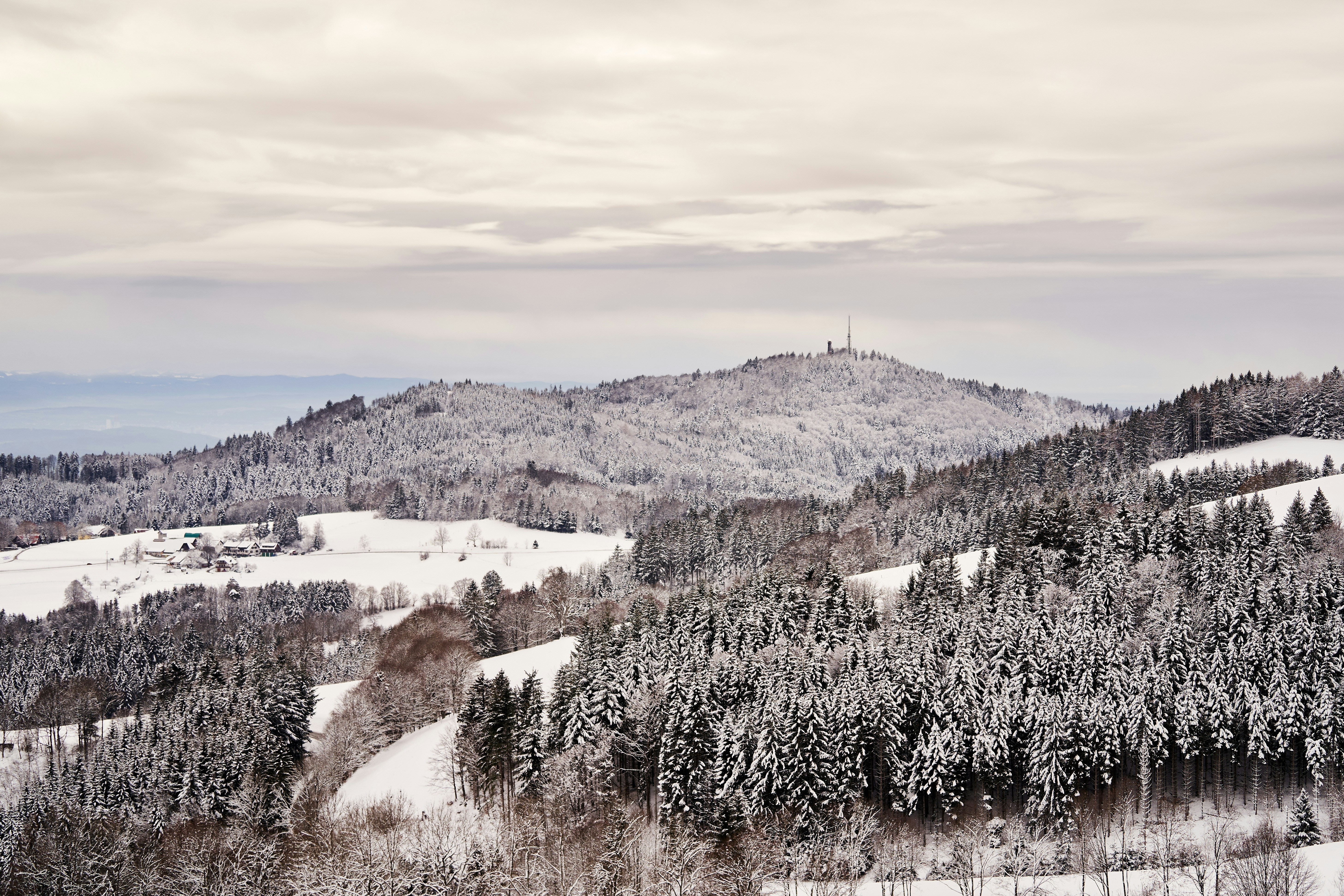 Photo by wolfgang_hasselmann