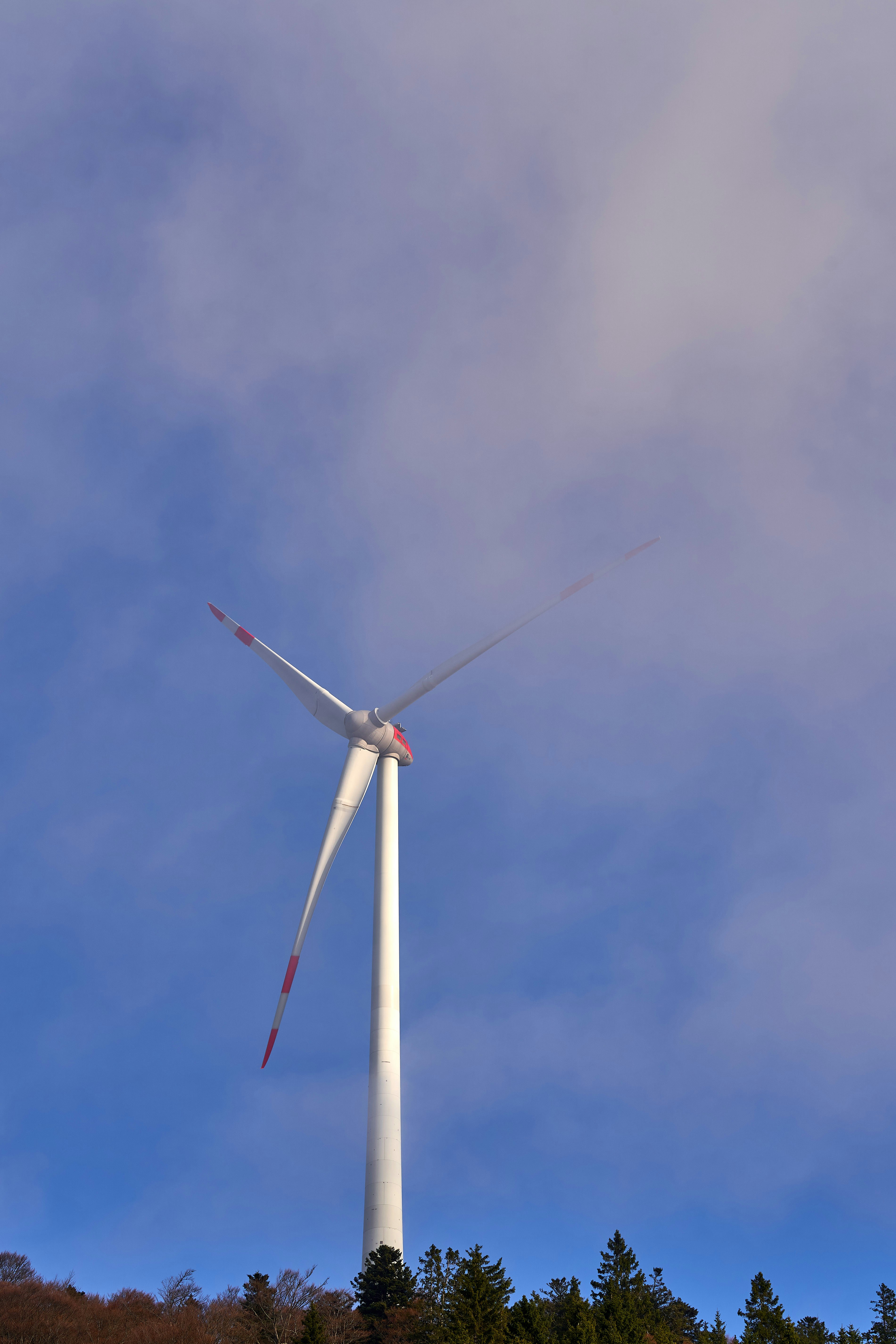 Photo by wolfgang_hasselmann