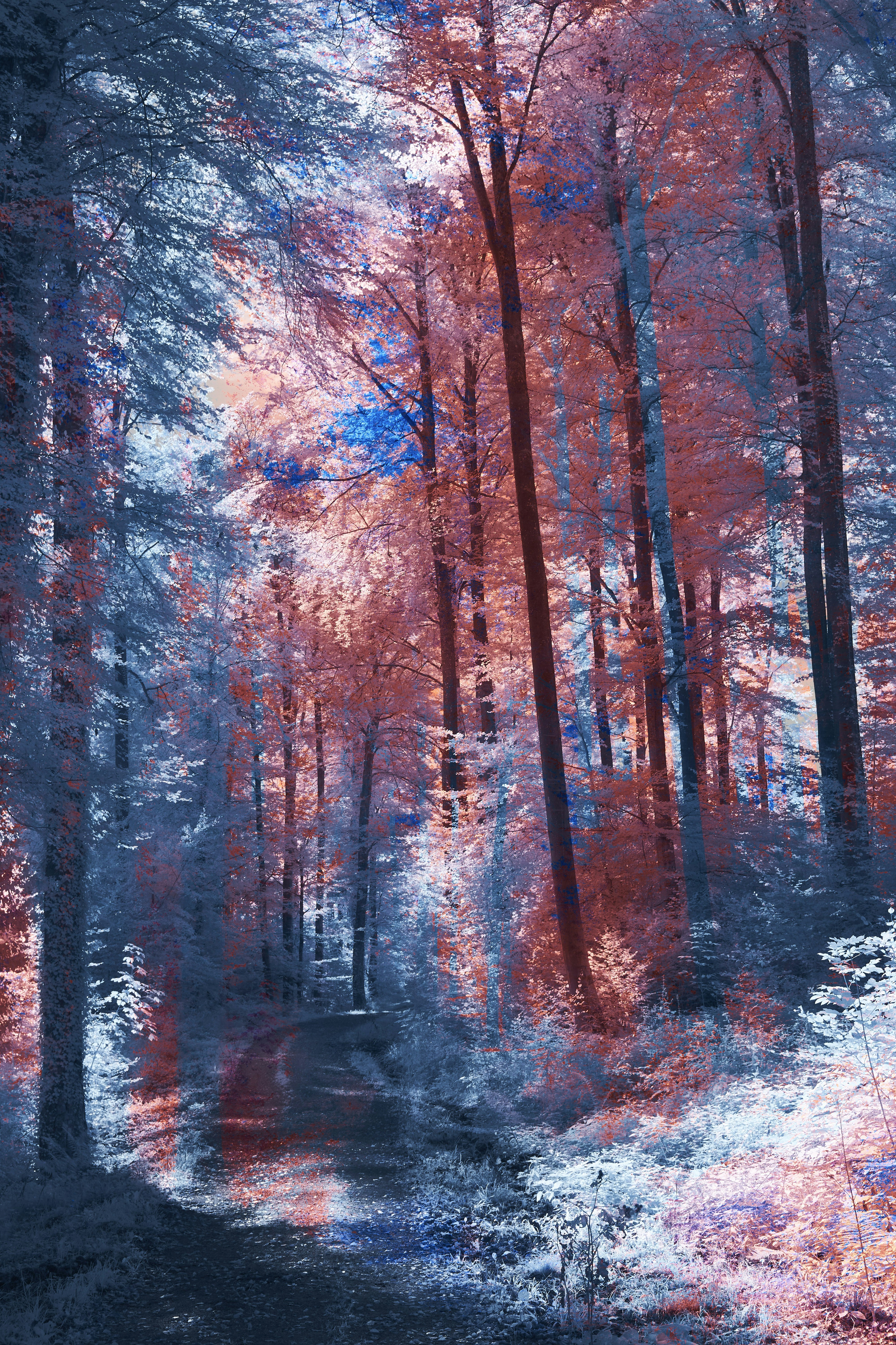 Photo by wolfgang_hasselmann