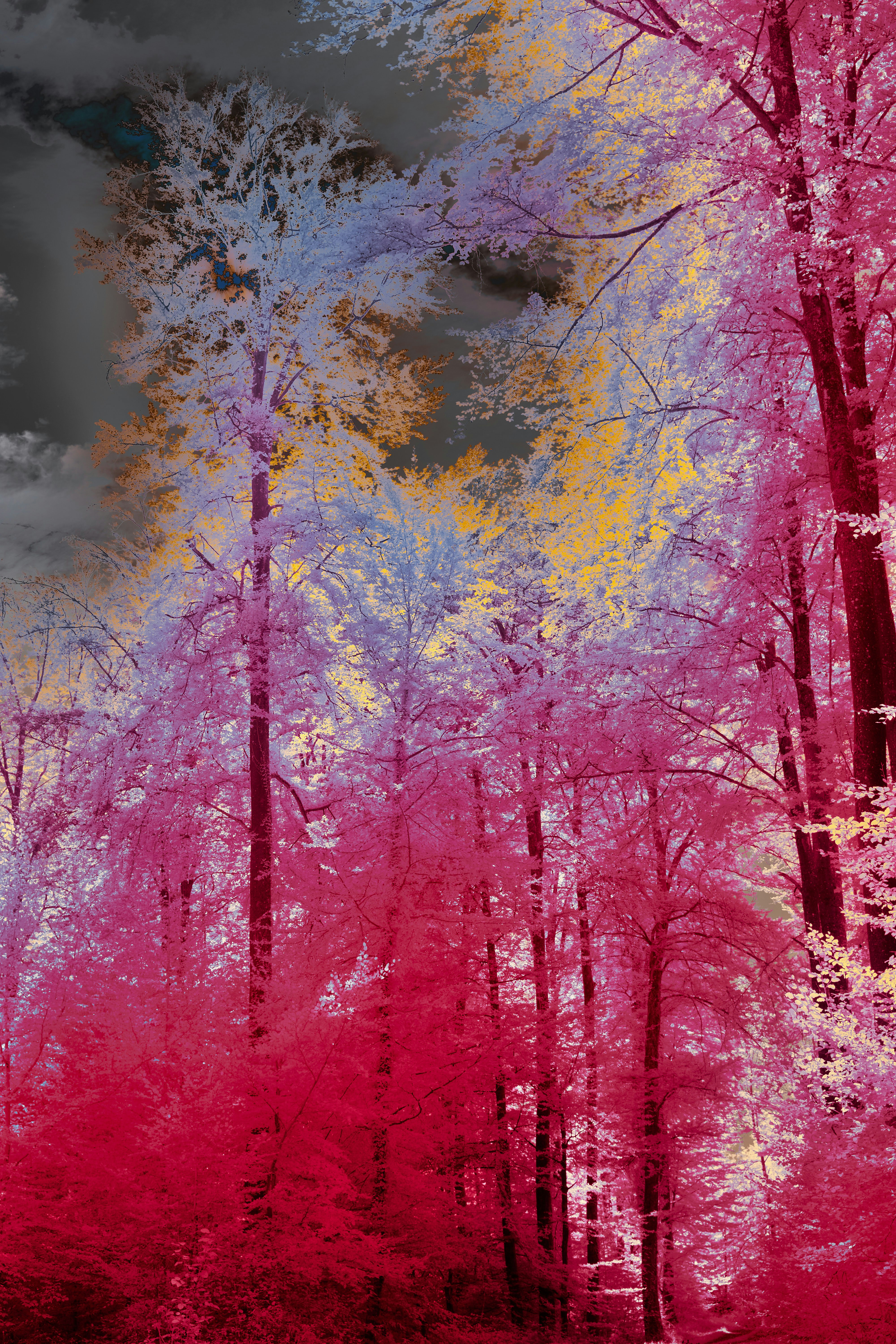 Photo by wolfgang_hasselmann