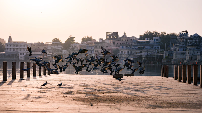 Best Time to Visit Ajmer: Month-by-Month Guide for Every Type of Traveller