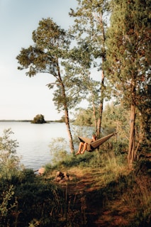 a bench next to a lake