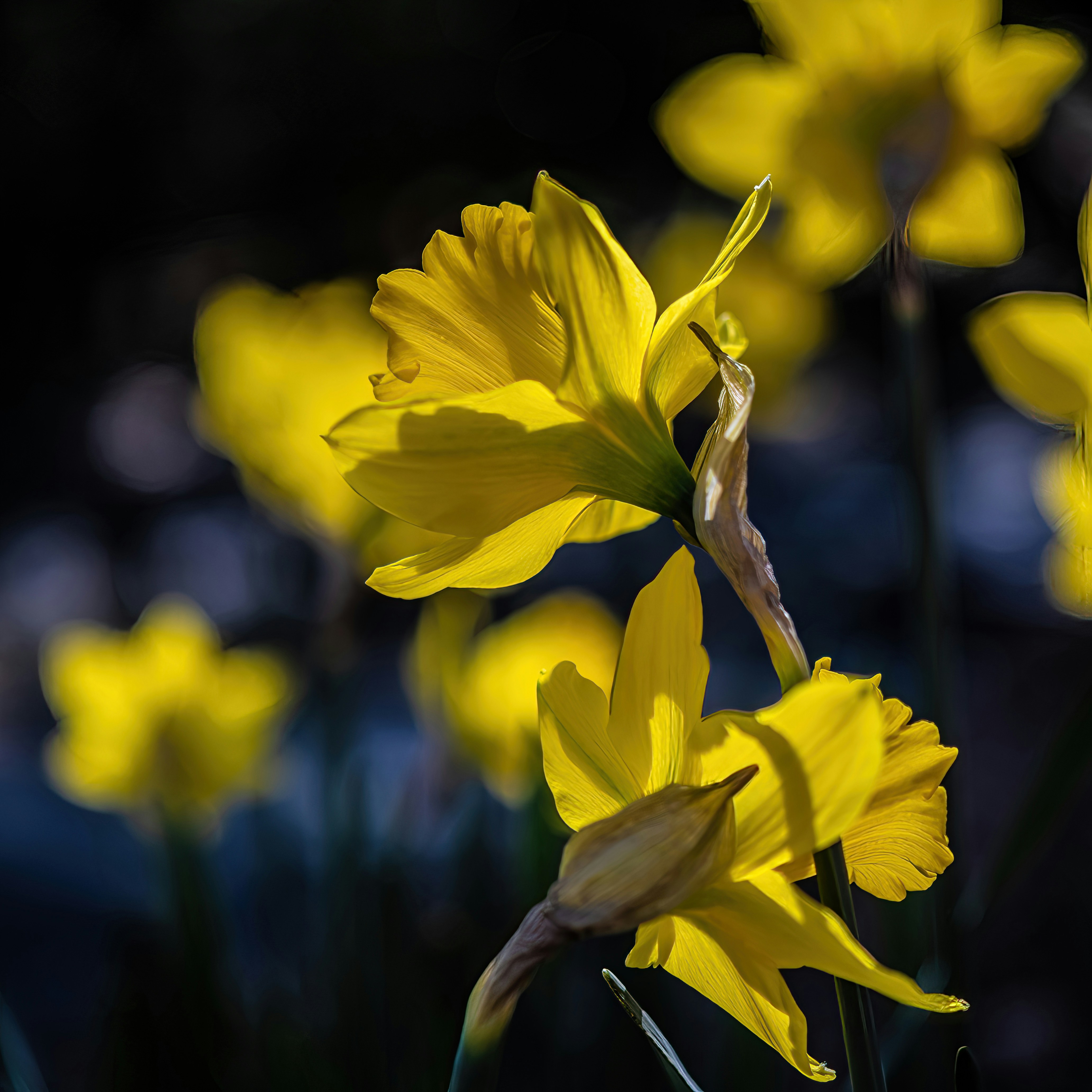 Prayer - 2025是轉生的一年：今年明顯視力退化，運動能力下降，學習動力消失，感覺慢慢轉生成要被淘汰的那一群人

但我好像慢慢可以接受這樣的自己，去摸索出屬於自己下半輩子想活出的樣子