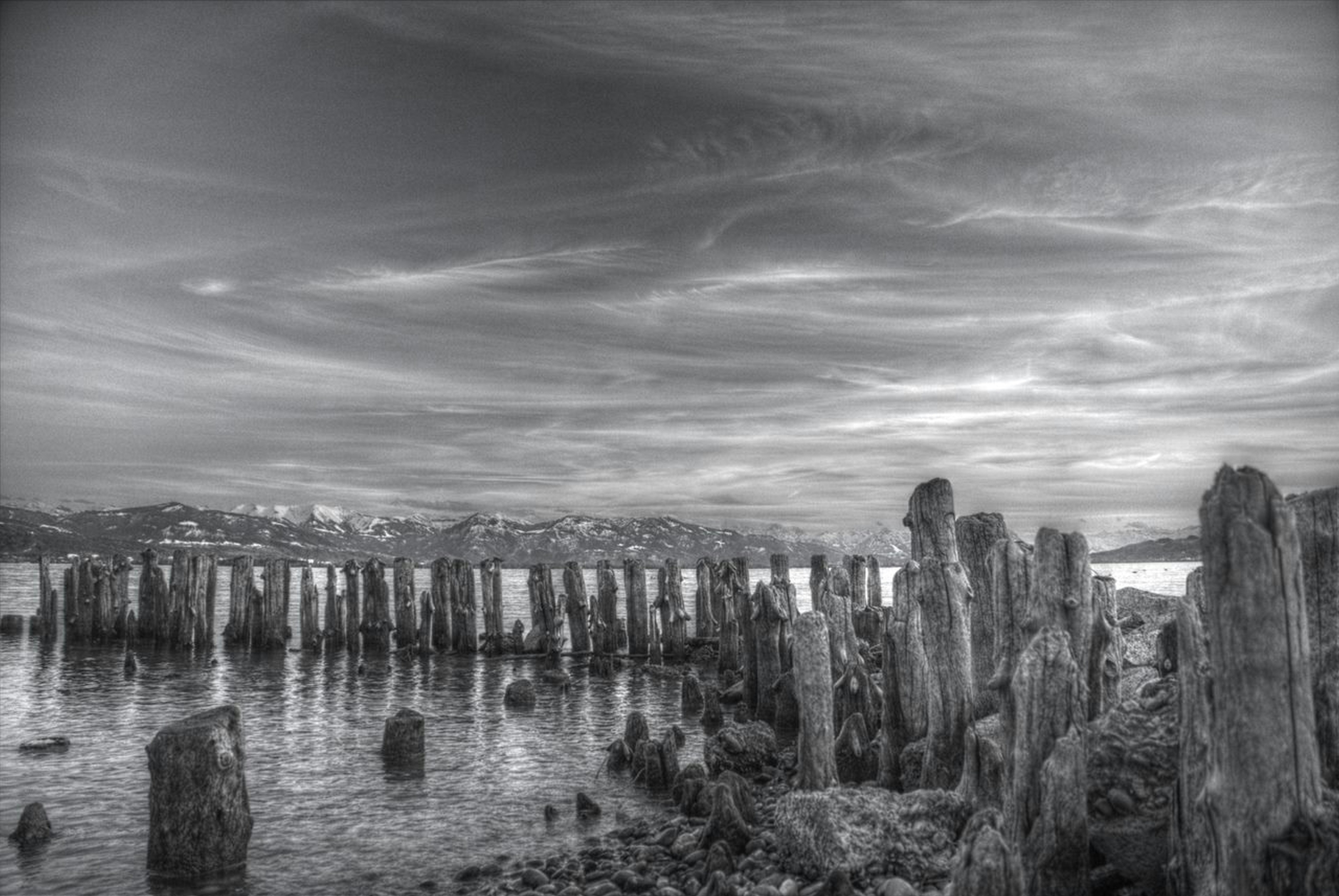 Photo by jandira_sonnendeck