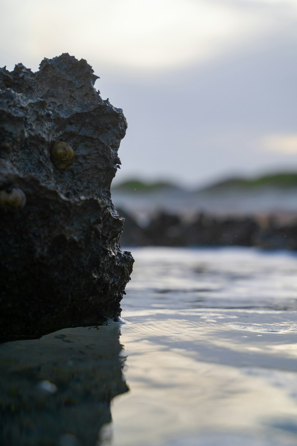 a rock on the beach