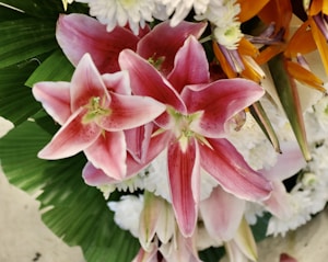 Lily Orchid Mix