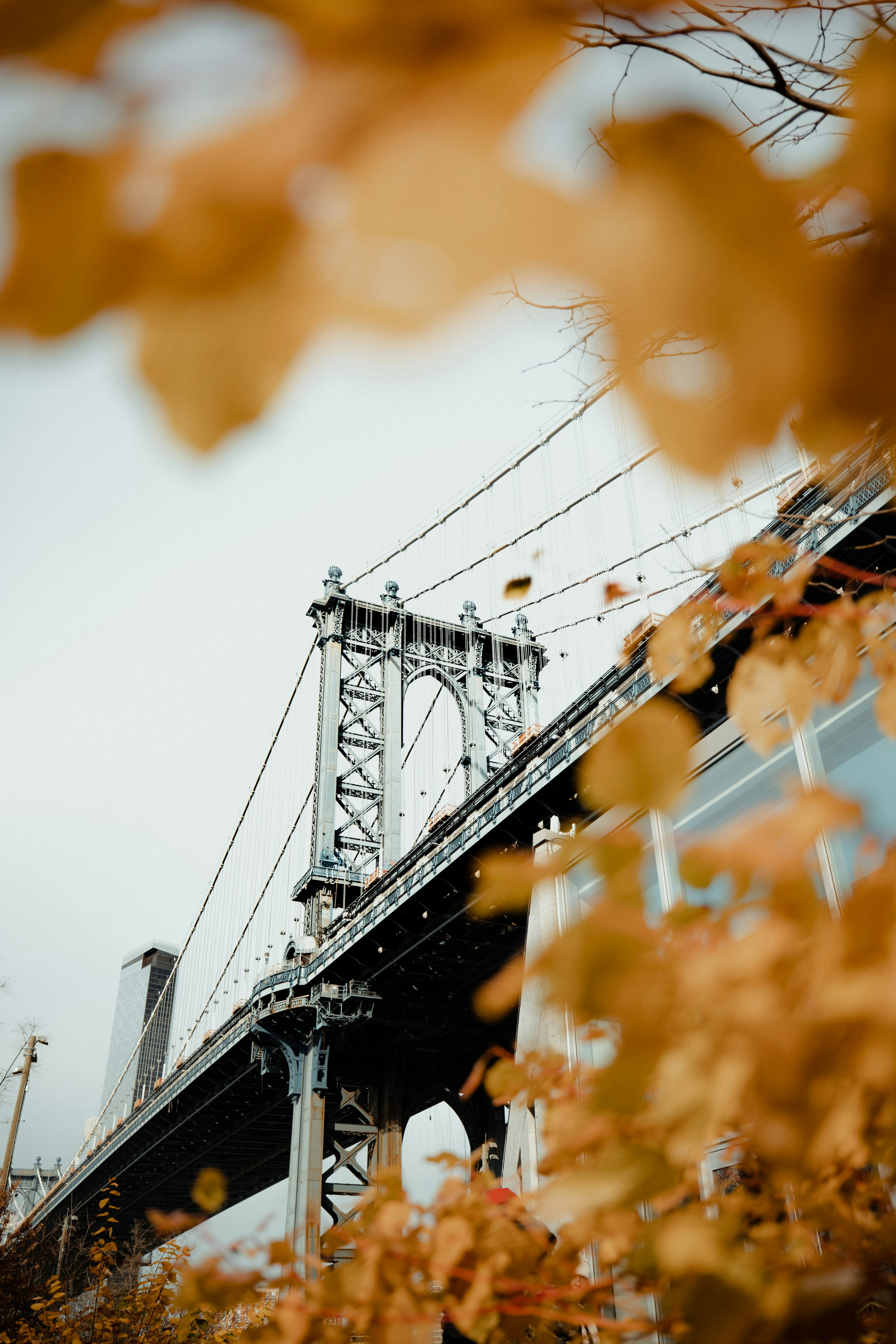 Photo by lgnwvr