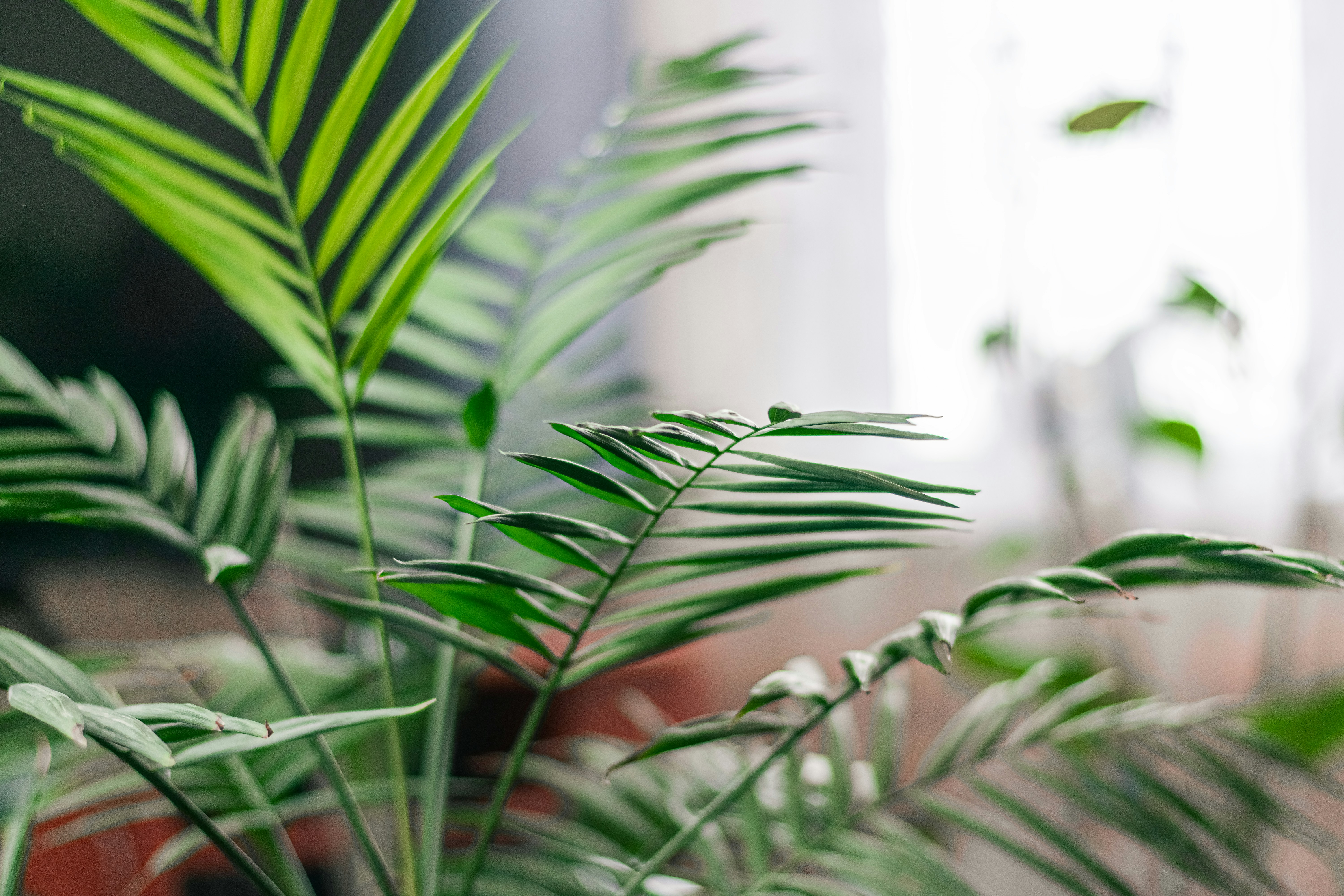 Photo by therealslkhv