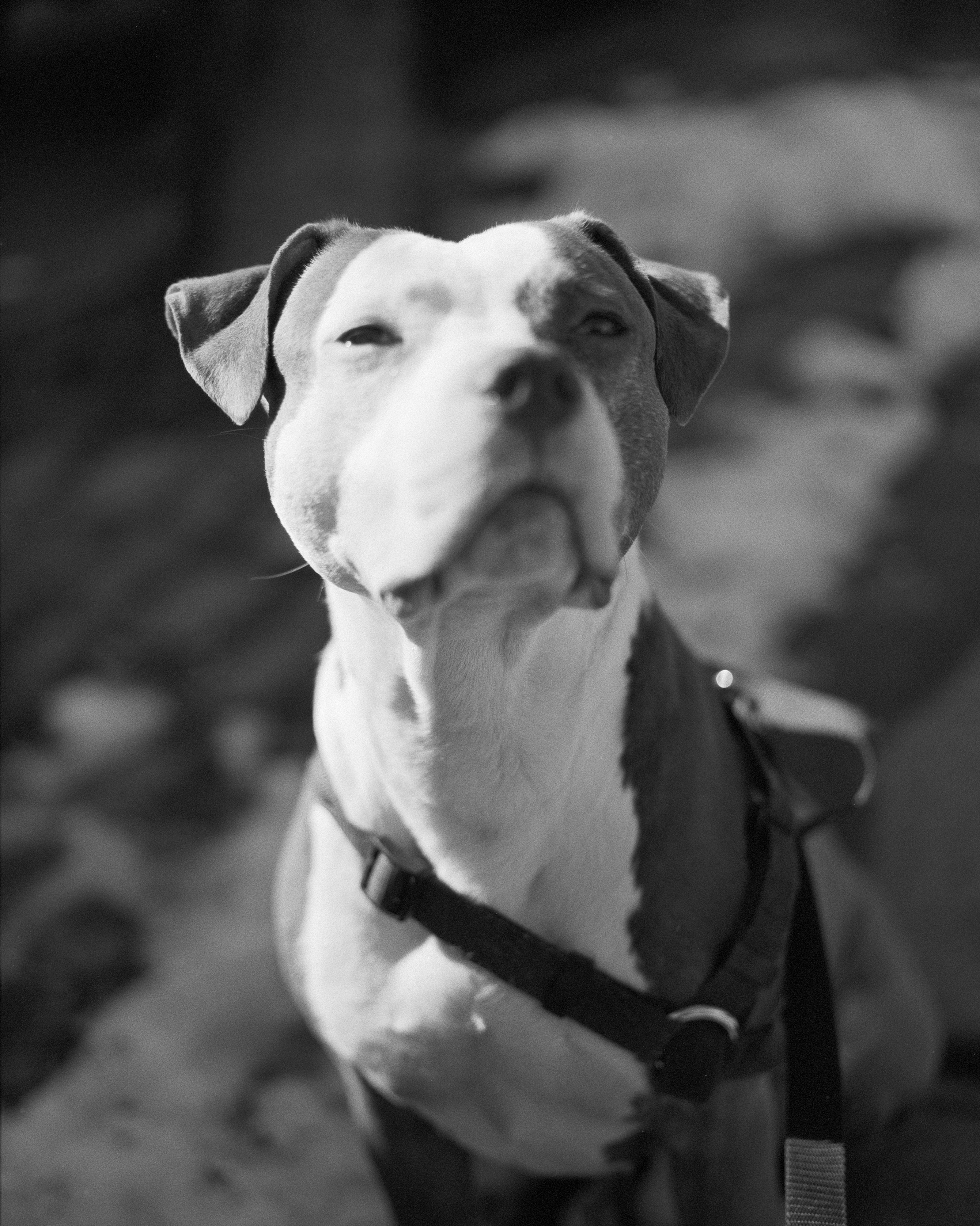 Photo by mcoopercreative