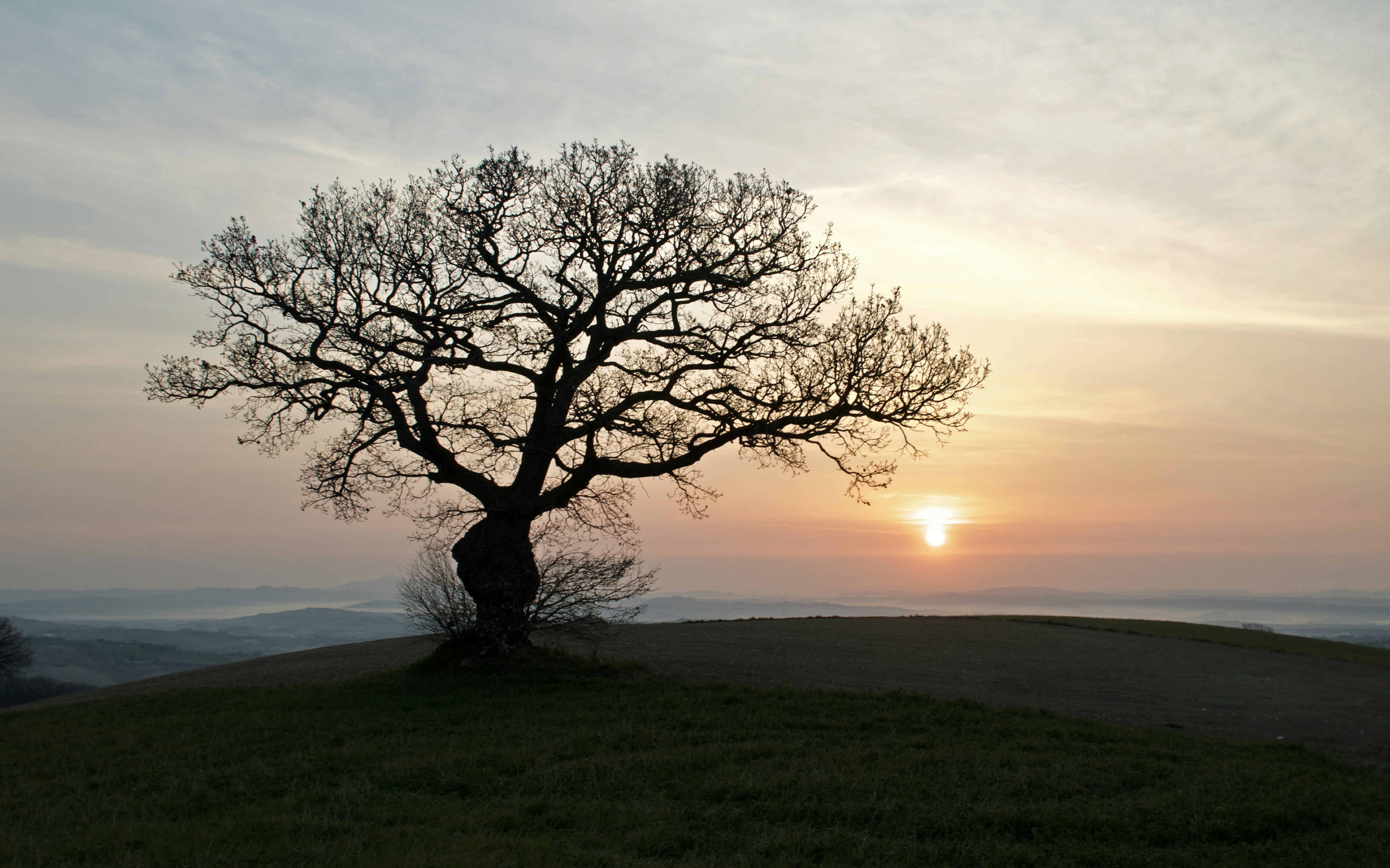 Photo by mariobeducci