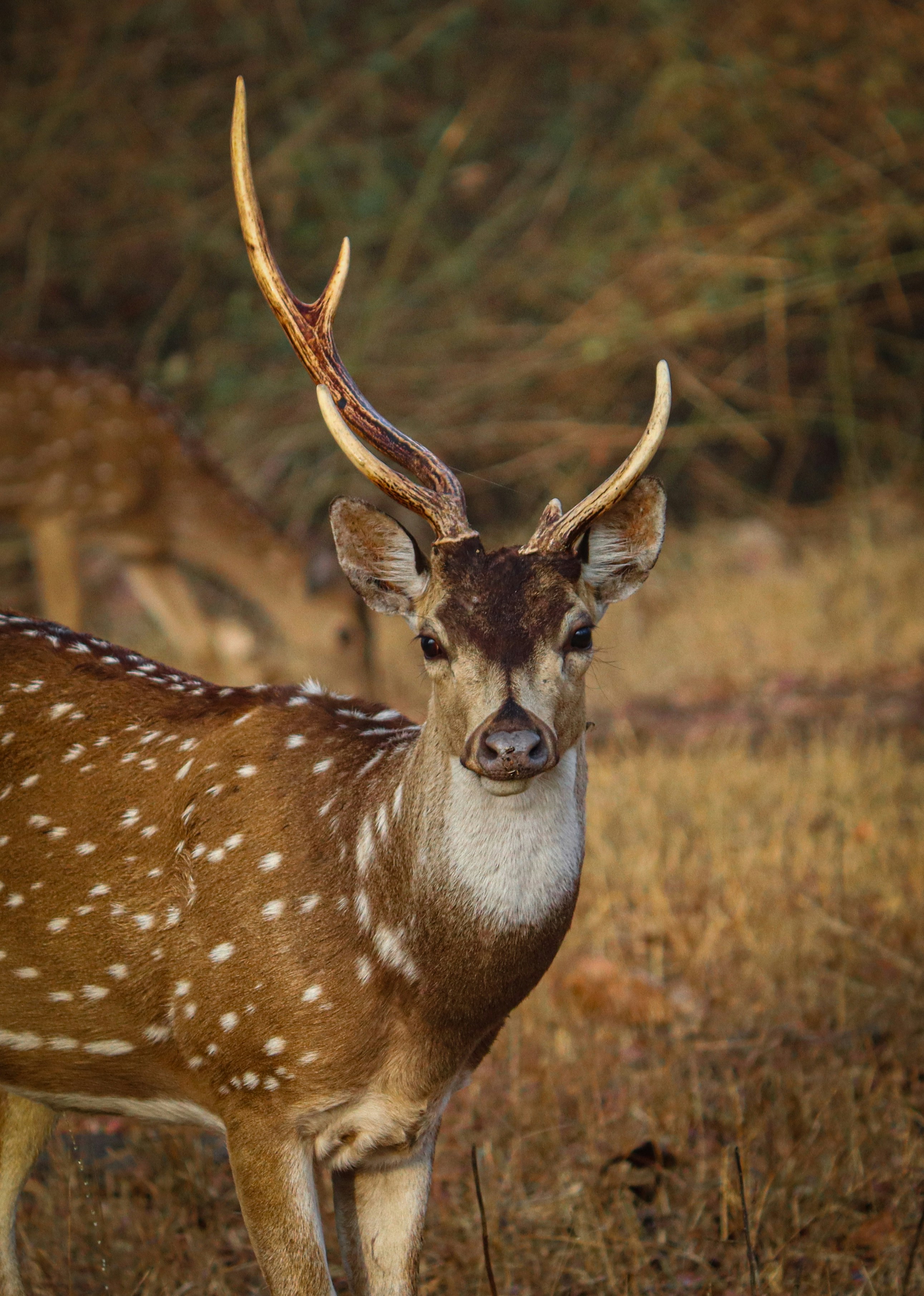 Photo by shadow__stealer