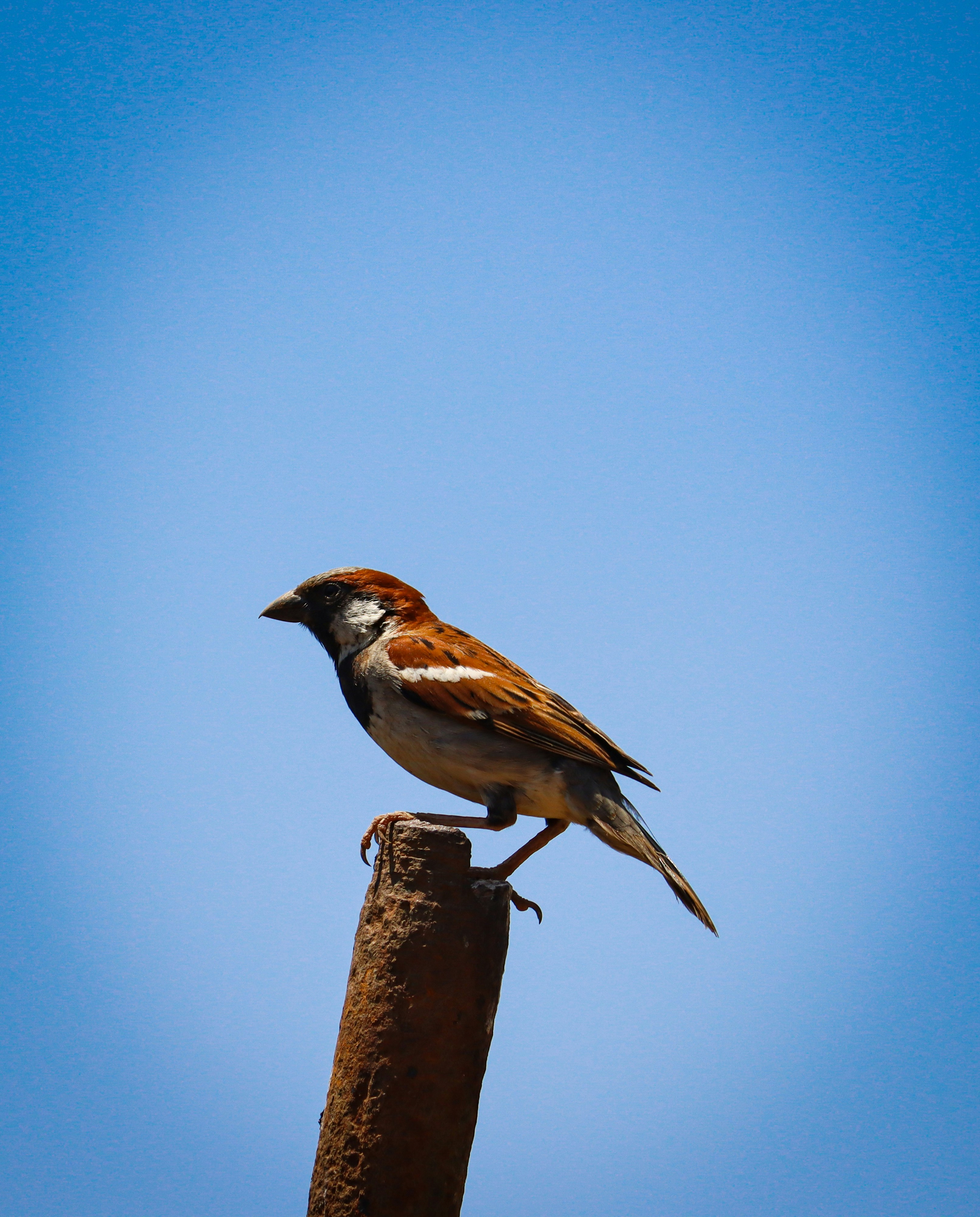 Photo by shadow__stealer