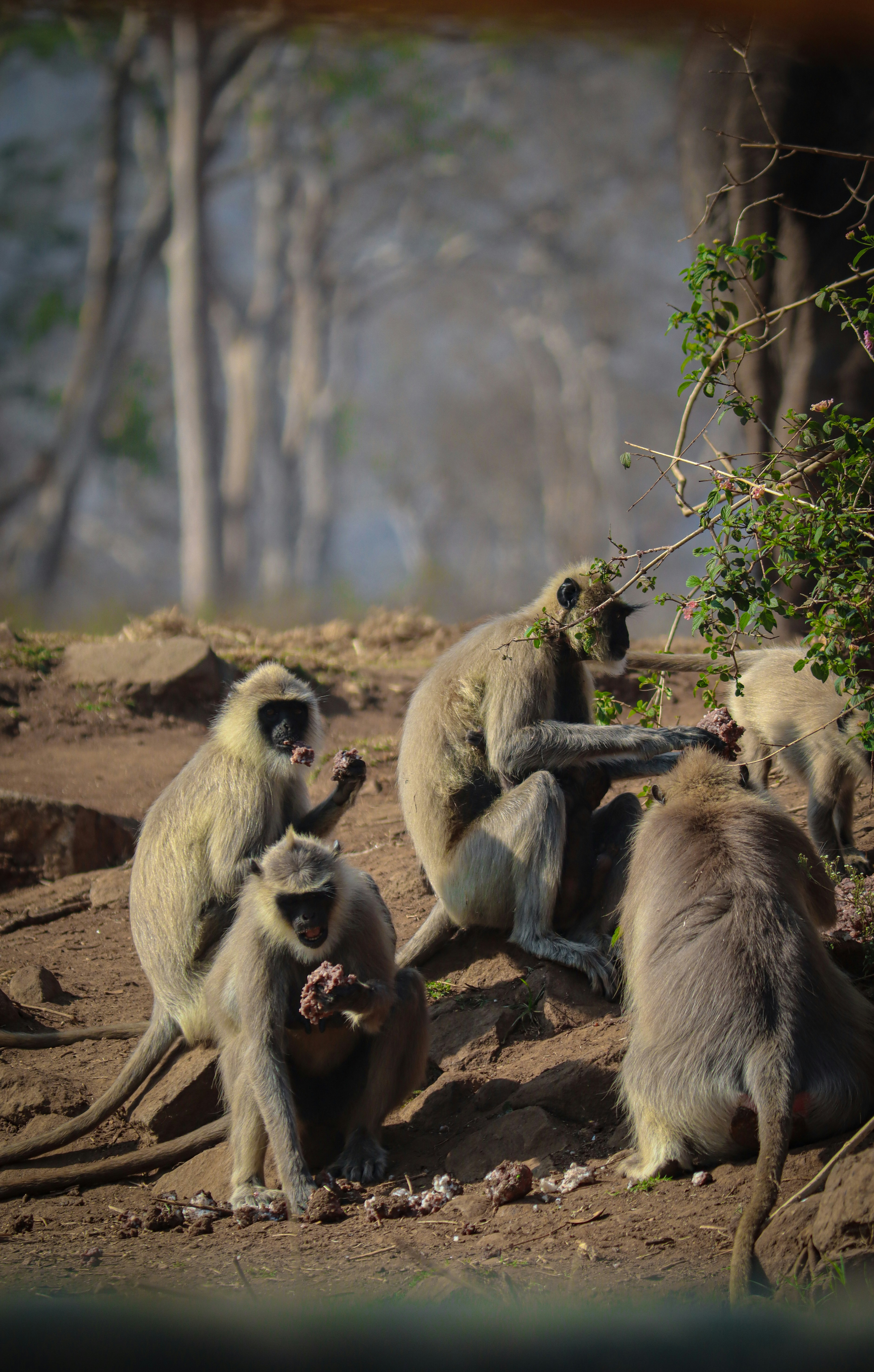 Photo by shadow__stealer