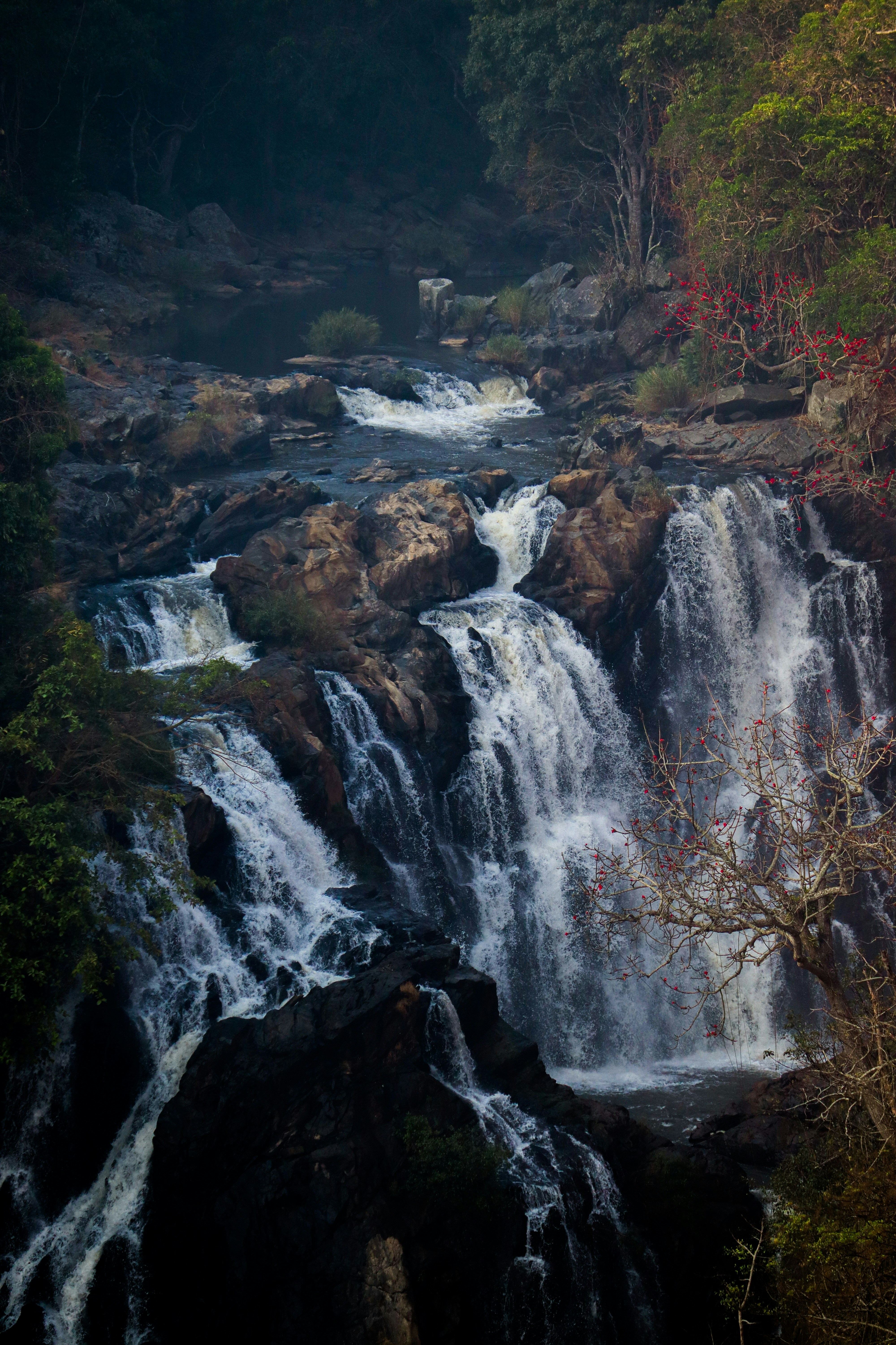 Photo by shadow__stealer