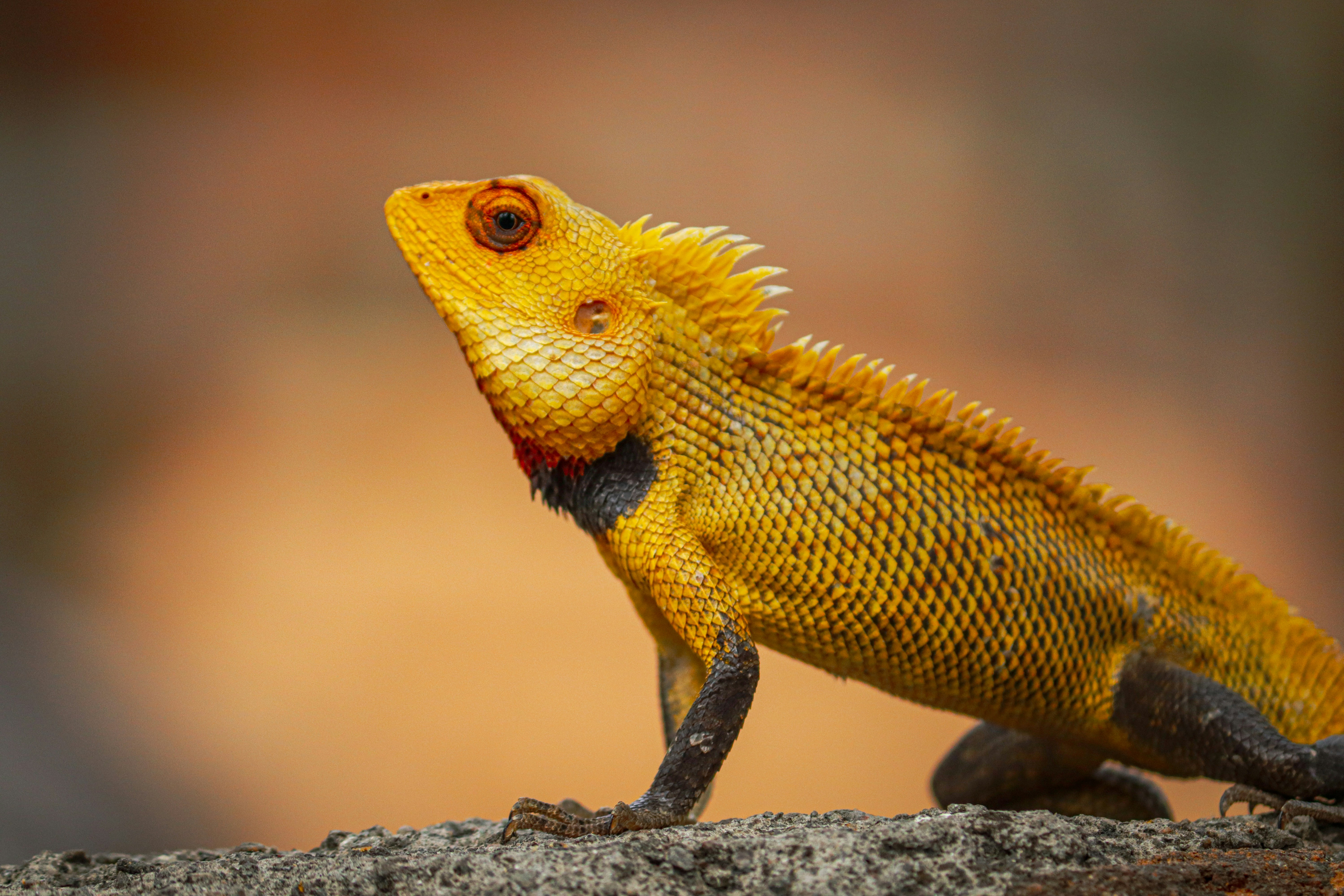 Photo by shadow__stealer