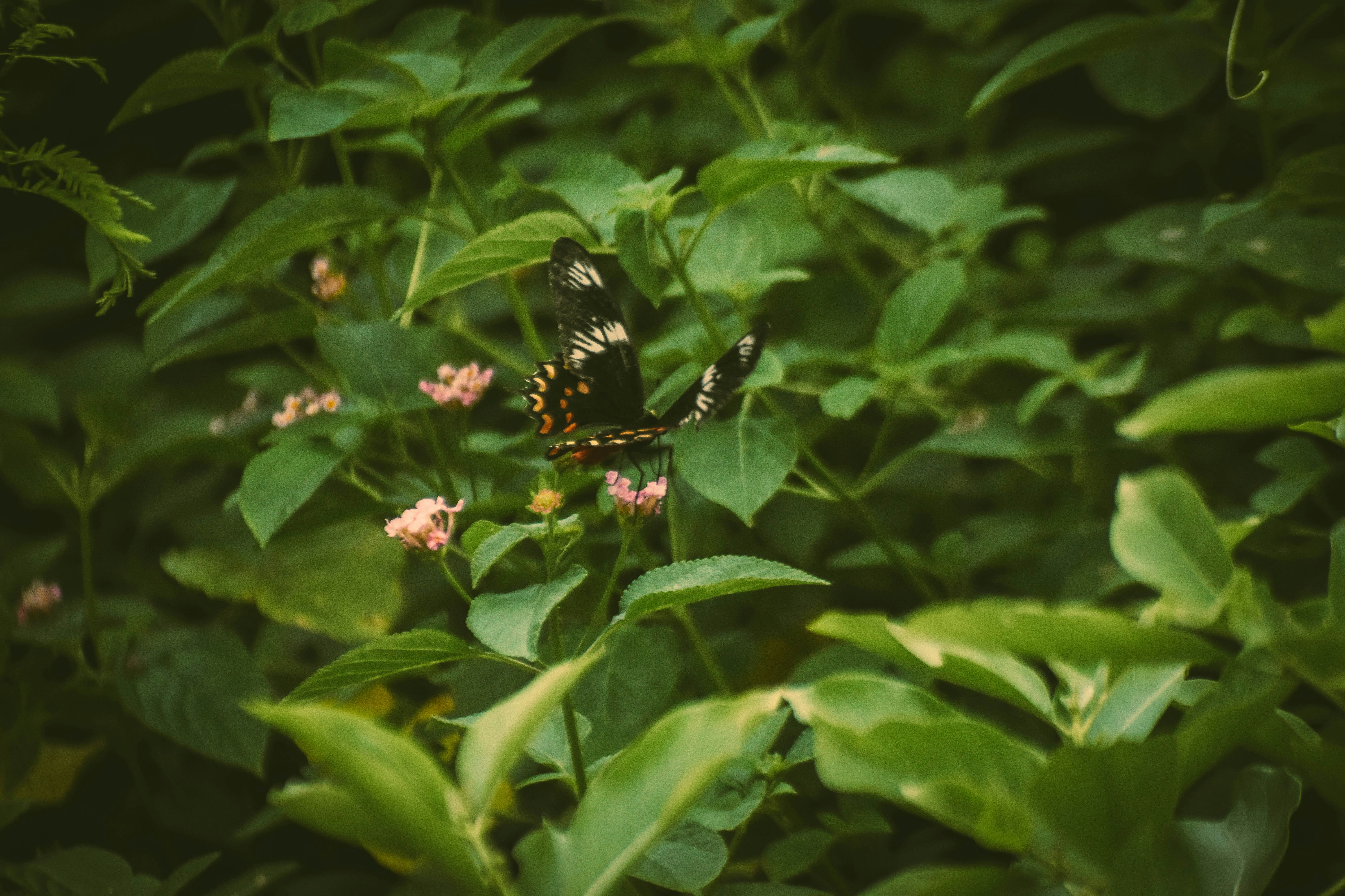 Photo by navi_photography