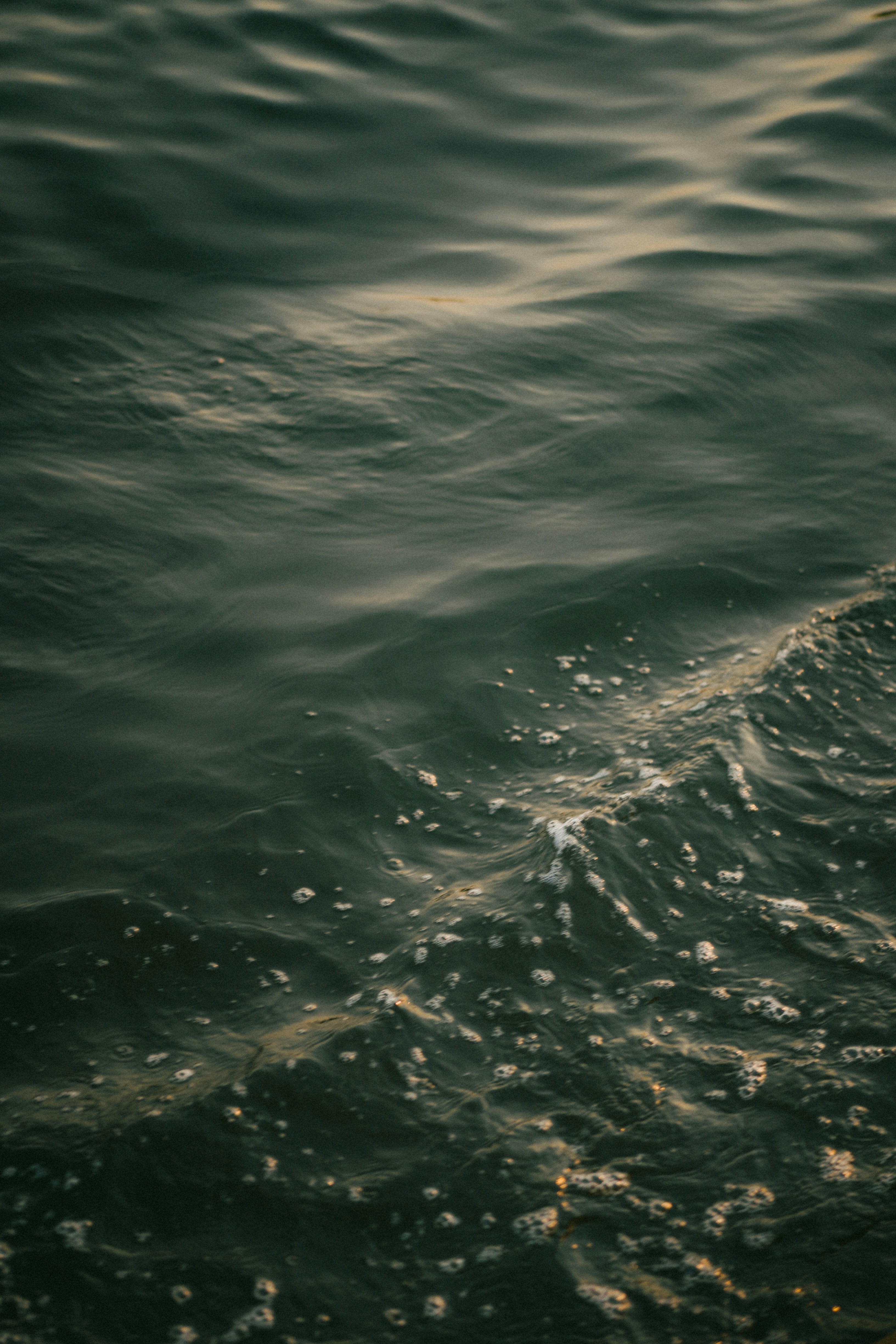 Photo by thuyenphoto