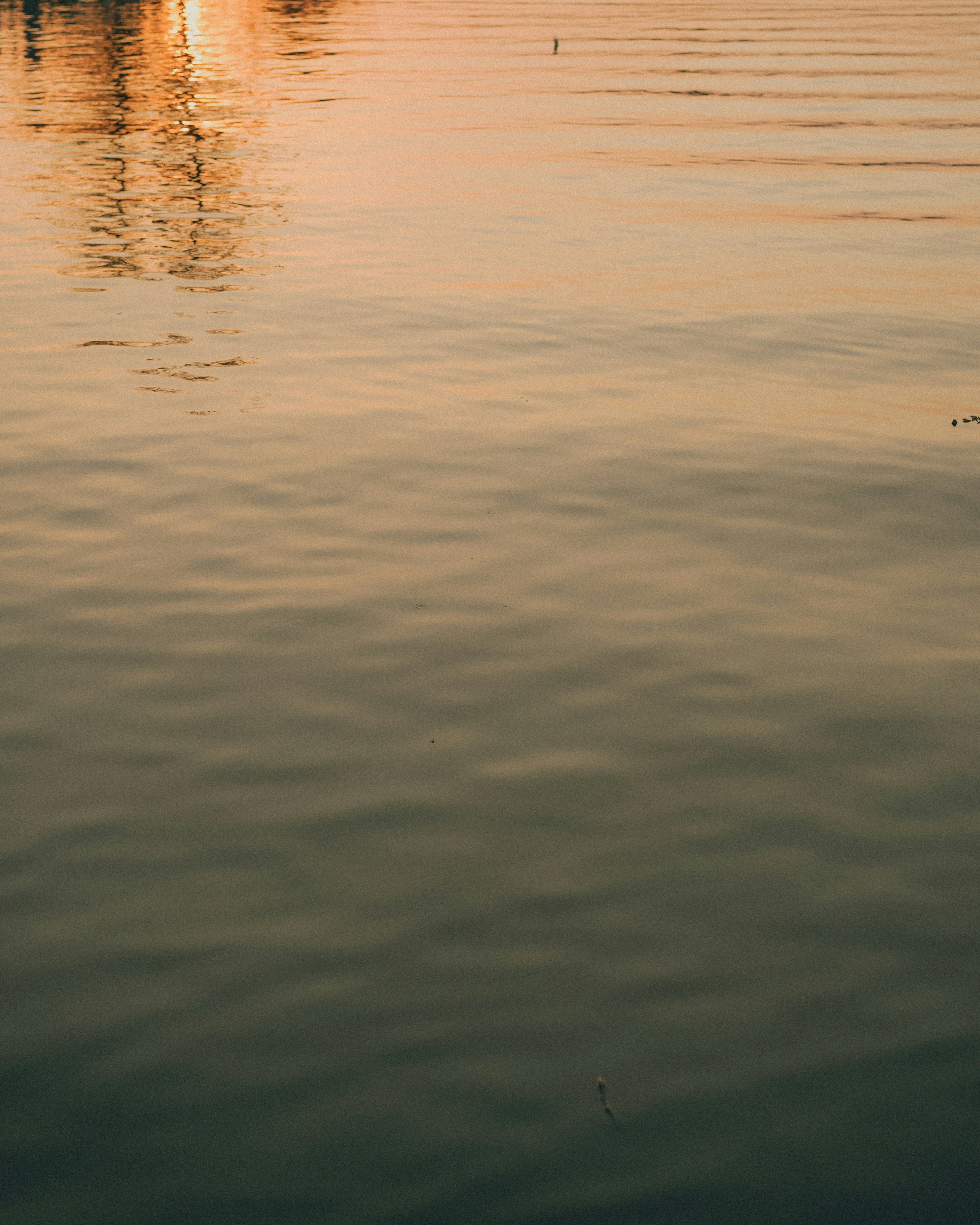 a body of water with a reflection of a person in it