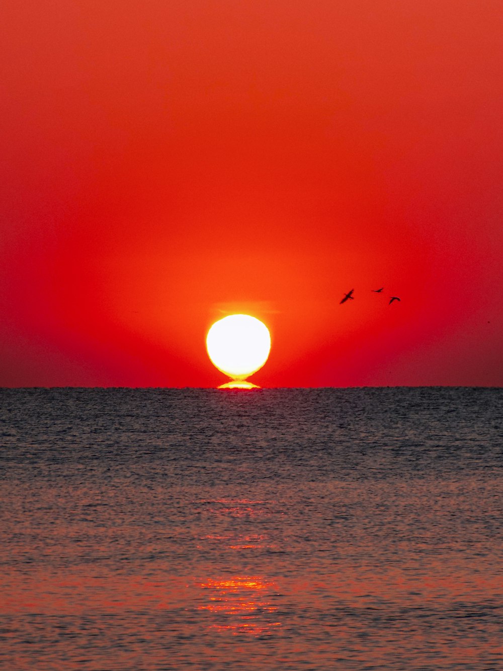 Una puesta de sol sobre un cuerpo de agua