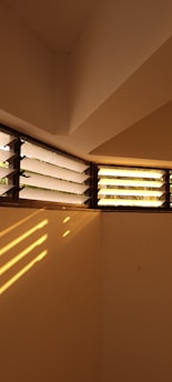 Warm sunlight filters through angled, horizontal louvers casting clear, diagonal shadows on a smooth light-colored wall, creating a geometric pattern. Some greenery is visible through the louvers, adding a touch of nature to the otherwise simple interior.