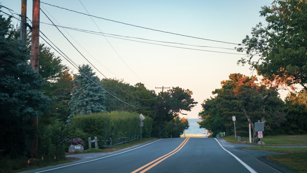 a road with trees on the side