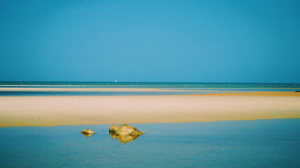 a beach with rocks in the water