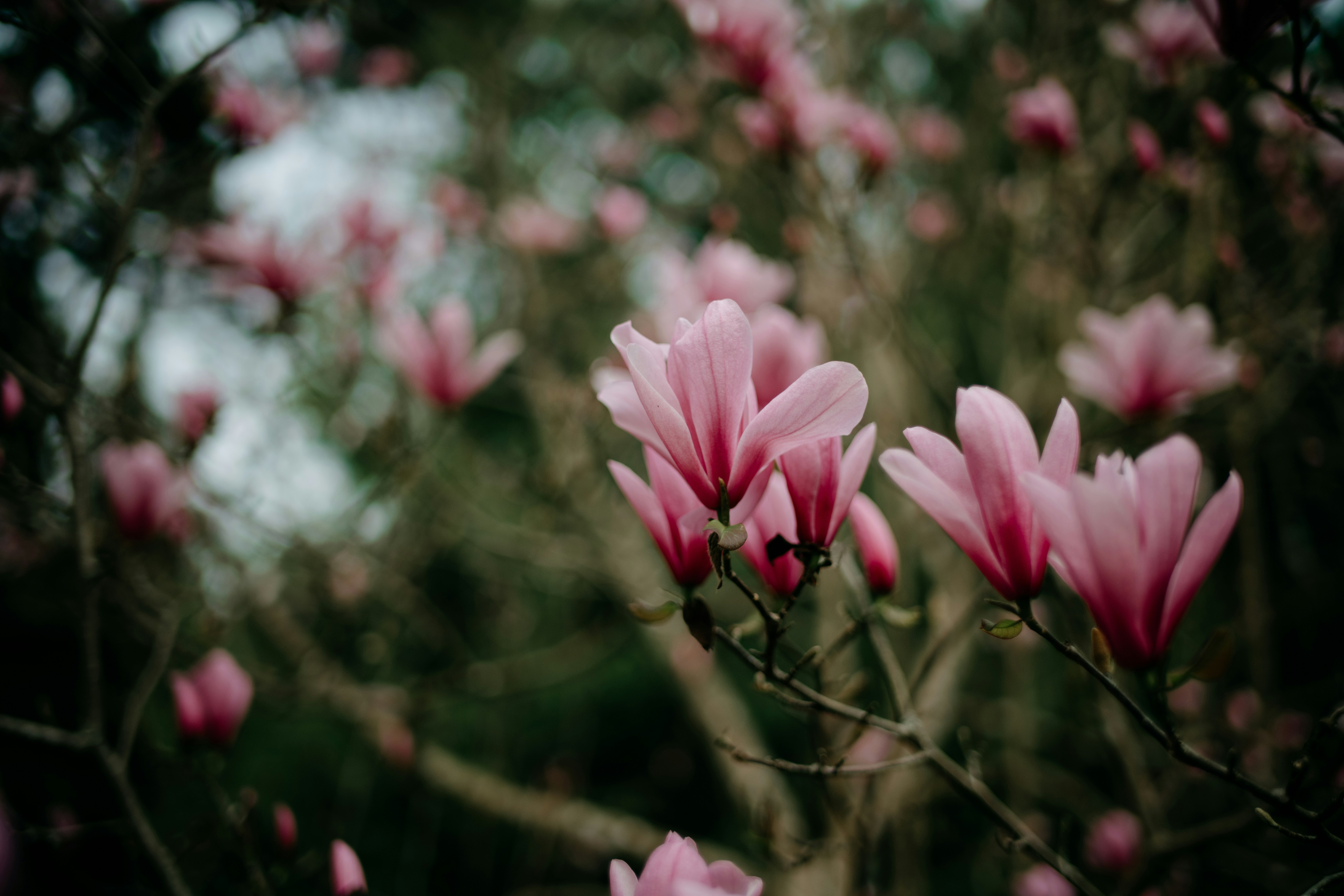 Photo by sabine_davis