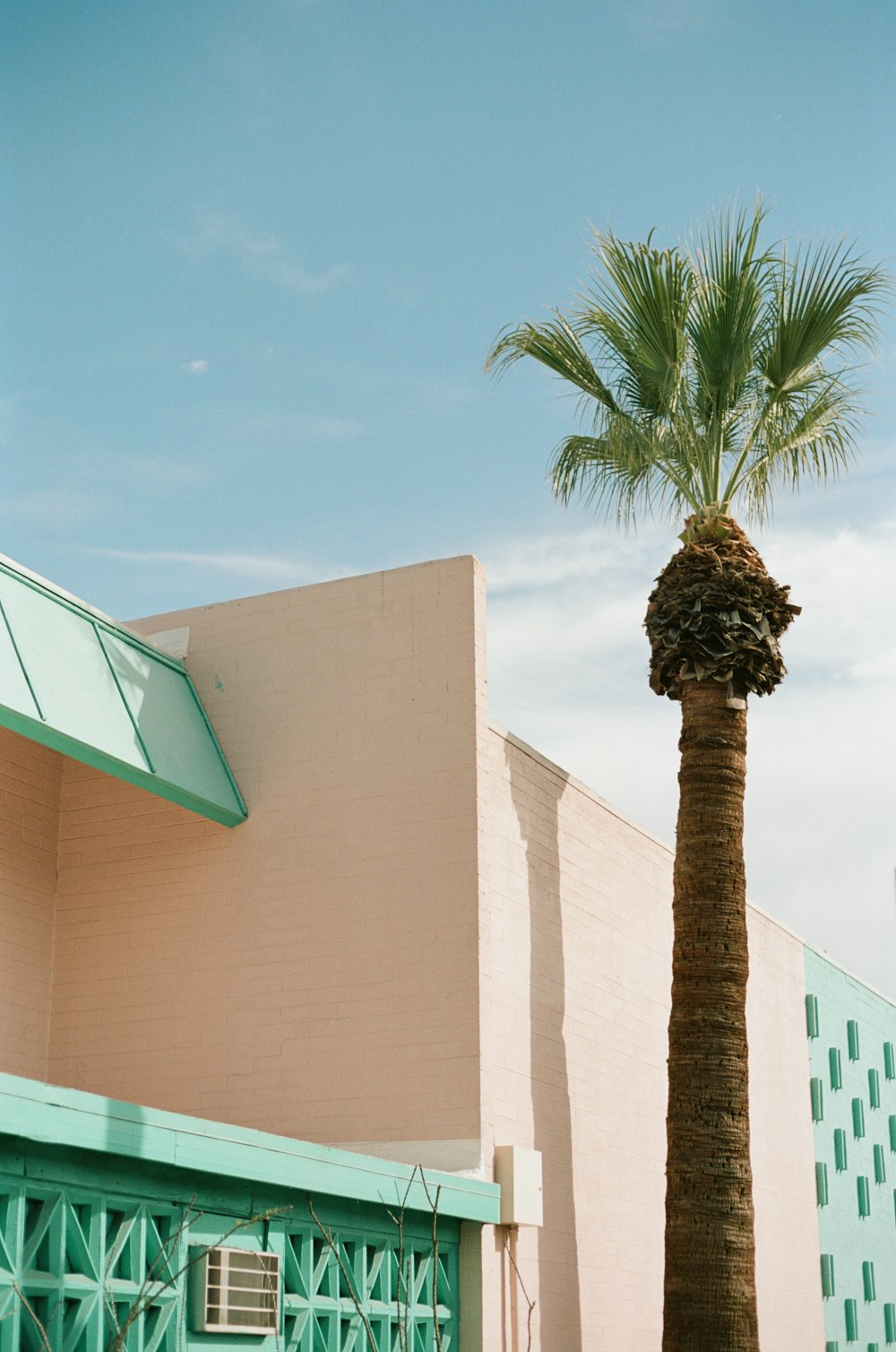 a palm tree in front of a building