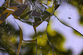 a group of water droplets