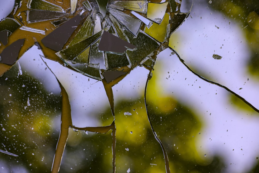 a group of water droplets