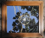 a window with a tree outside