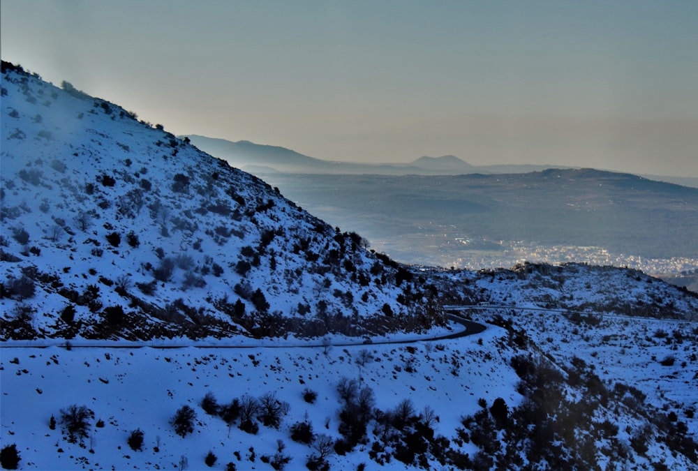 a snowy mountain with trees