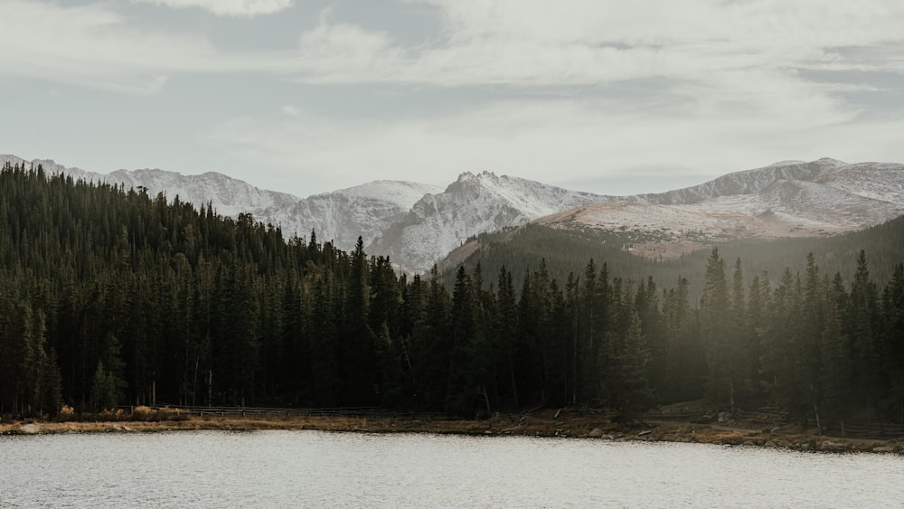 a lake with trees and mountains in the background