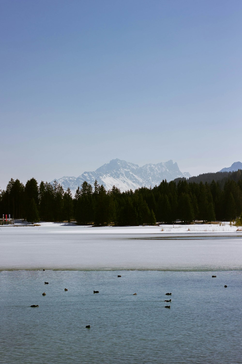 a lake with trees and a mountain in the background