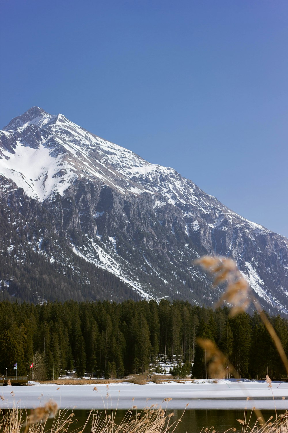 a snowy mountain with trees and a lake below