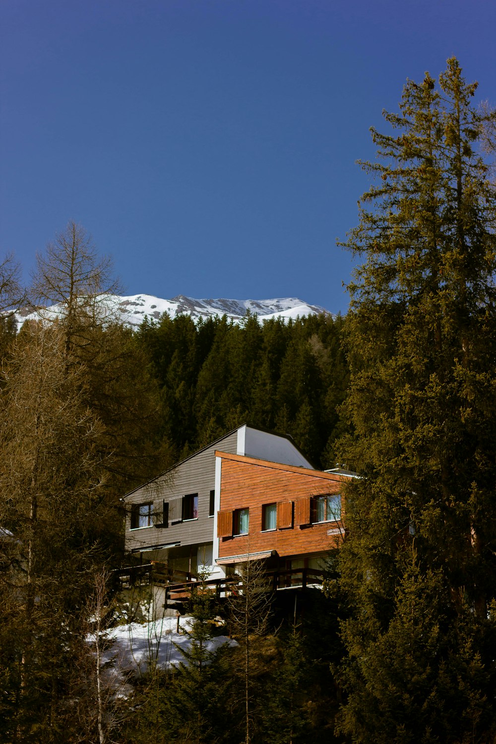 a house surrounded by trees and mountains