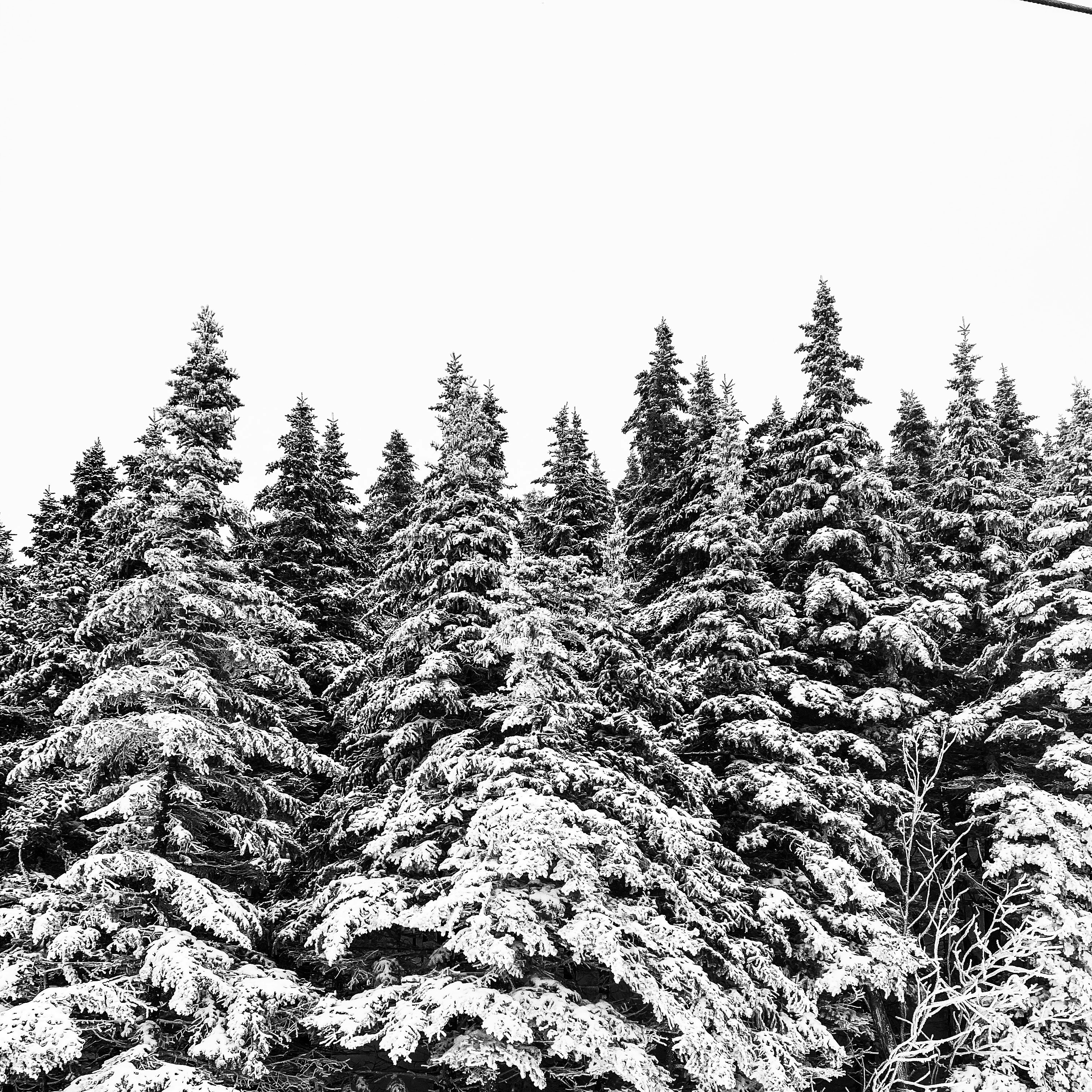 Photo by lej__photography