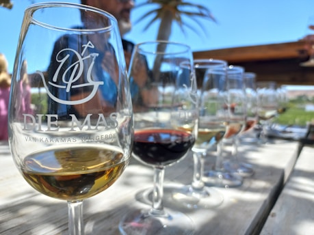A selection of wine glasses filled with different types of wine is arranged on a wooden table, with a focus on a glass branded 'Die Mas'. The setting appears to be outdoors with a blurred background that includes a person and a palm tree.