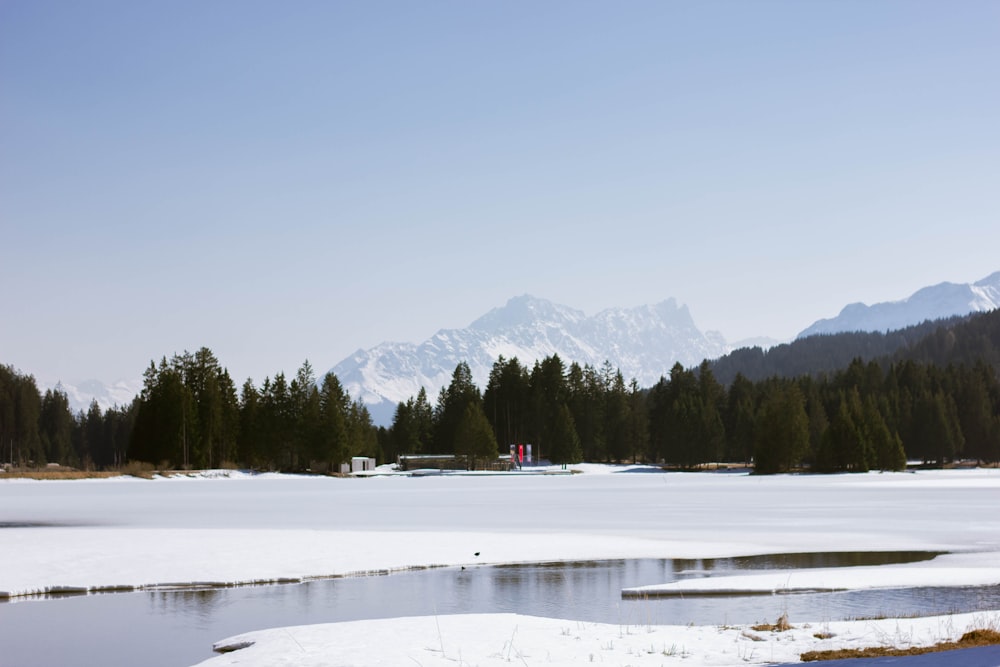 a snowy field with trees and mountains in the background