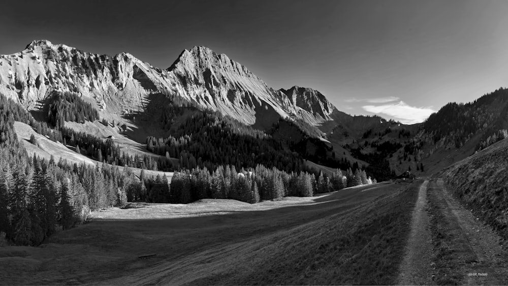 a road going through a snowy mountainous region