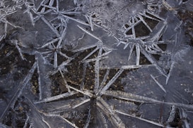 A close-up view of ice crystals forming intricate, angular patterns on a surface. The icy structures are translucent and display a range of textures, capturing the play of light that highlights their delicate nature. There are hints of darker elements beneath the ice, possibly earth or rocks.