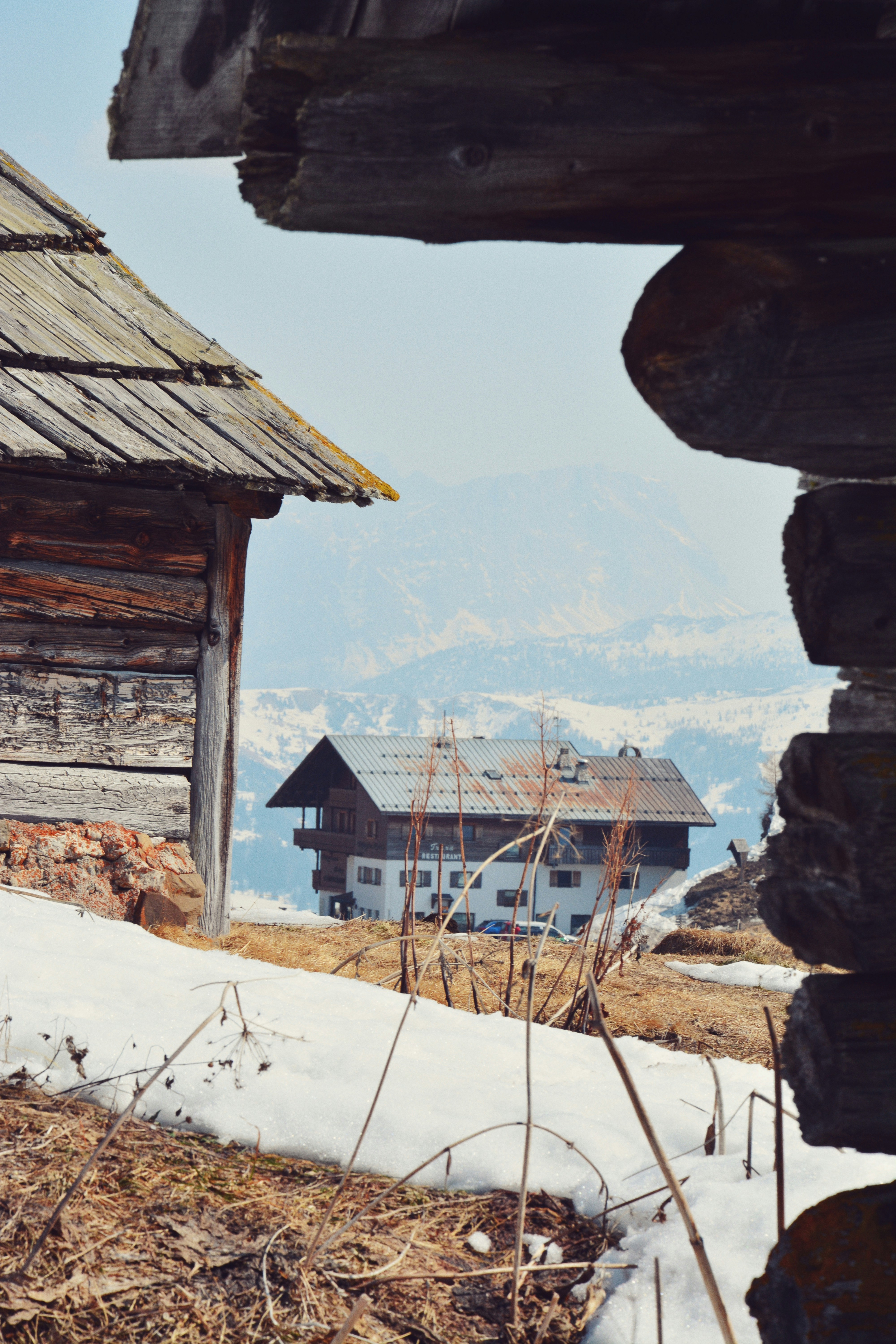 Photo by michael_ender