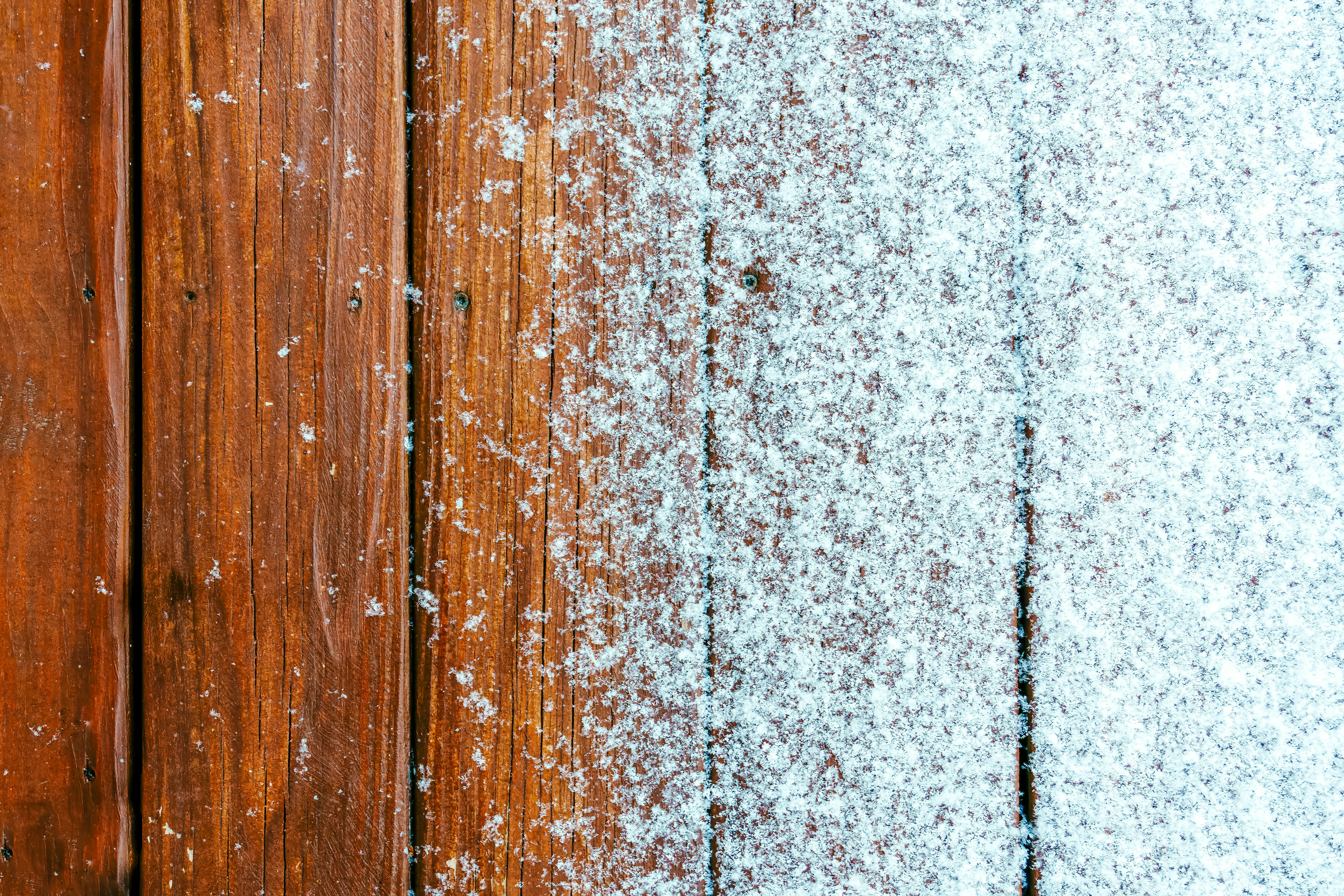 Photo by clayleconey