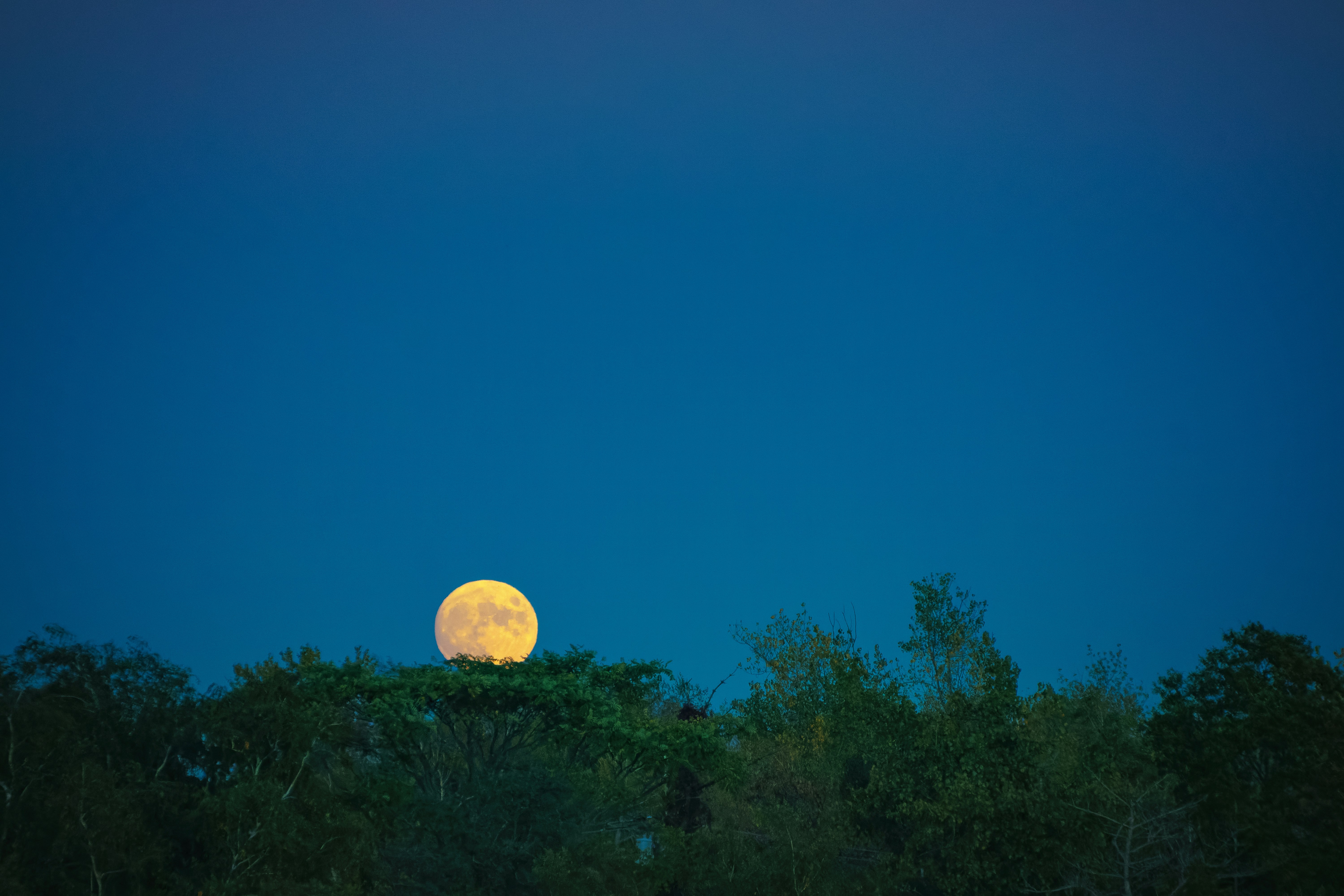 A full moon in the sky photo – Free Teal Image on Unsplash